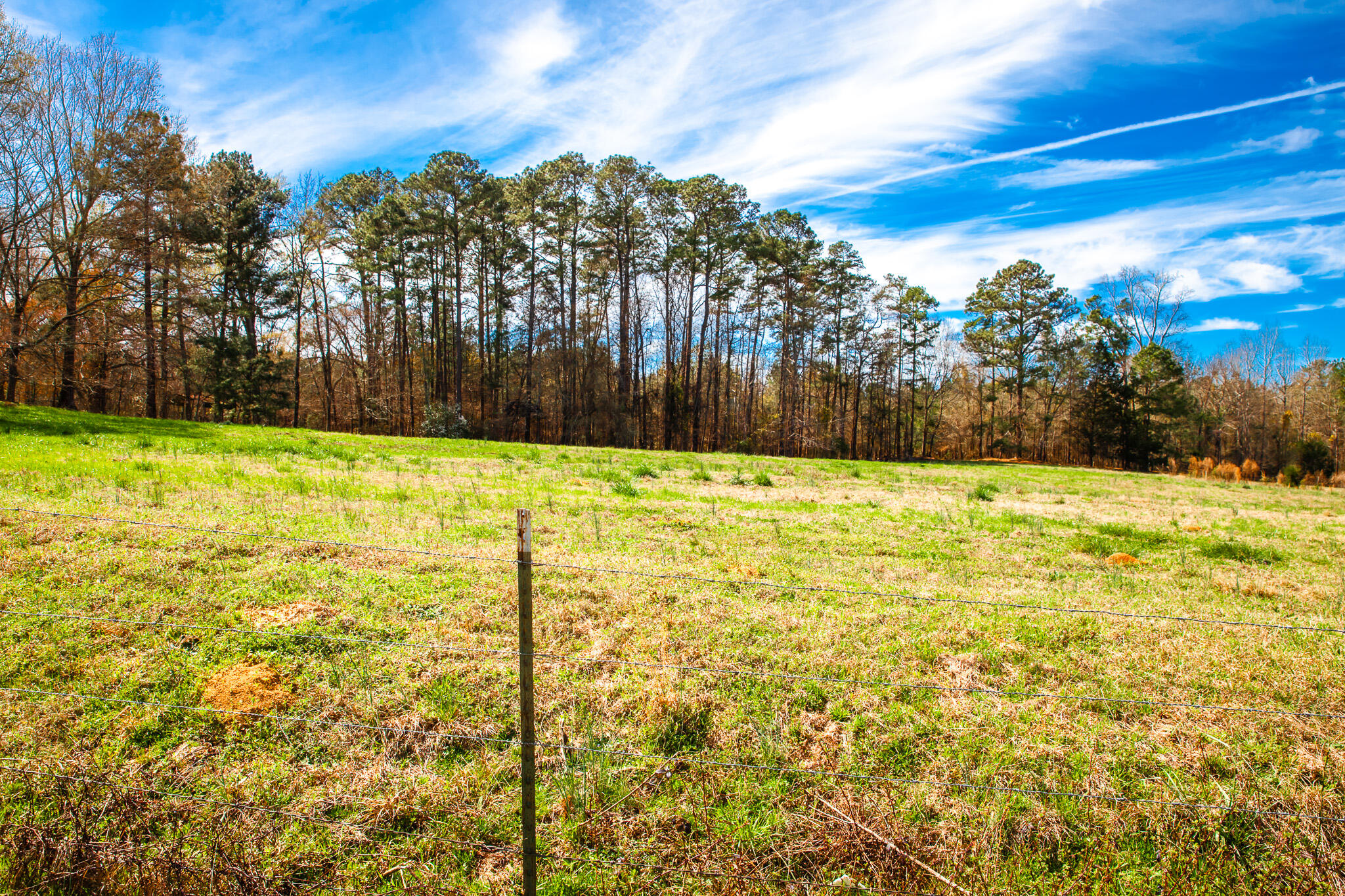 3500 5 Mistletoe Road Property Photo 3