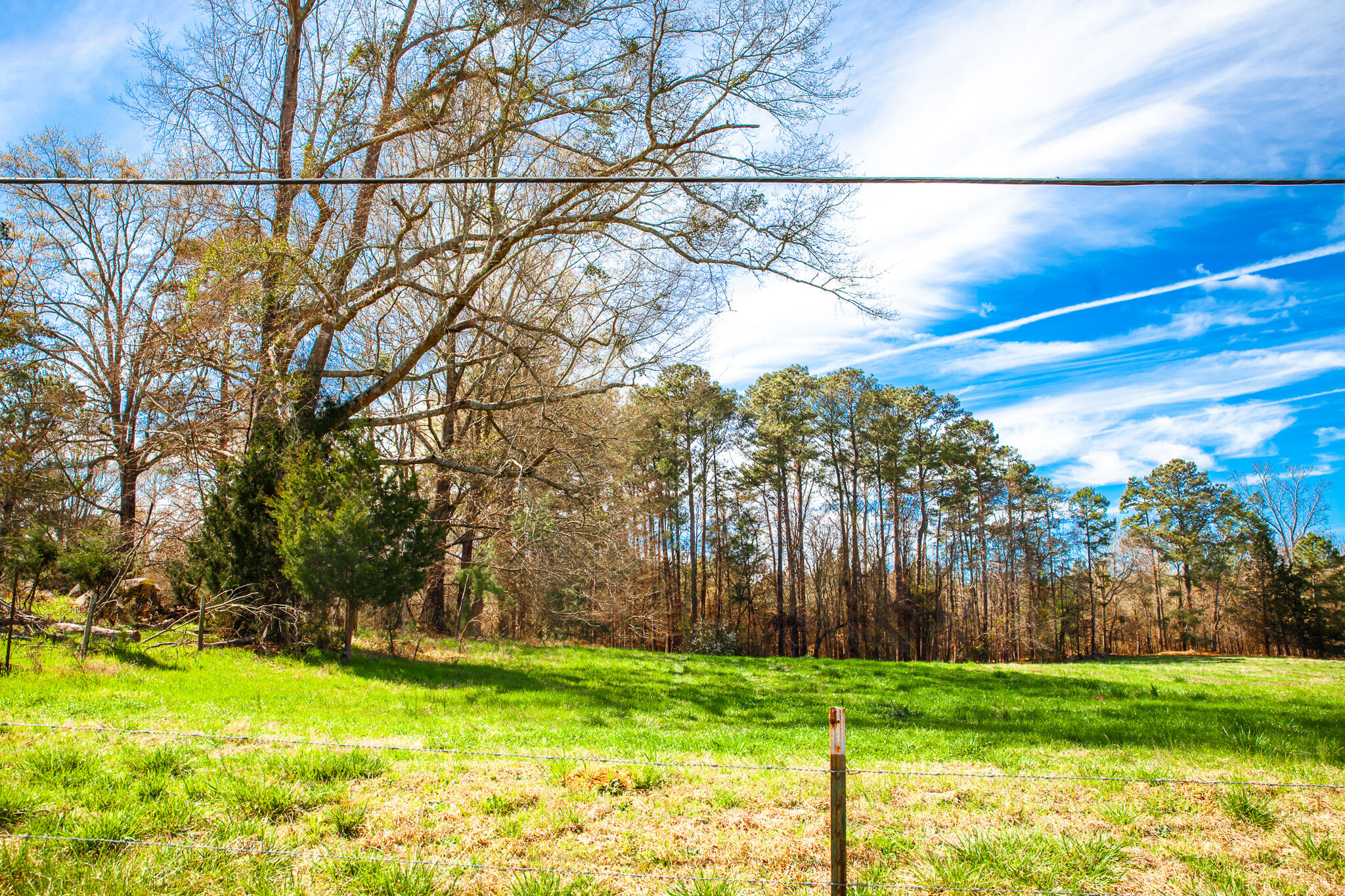 3500 5 Mistletoe Road Property Photo 4