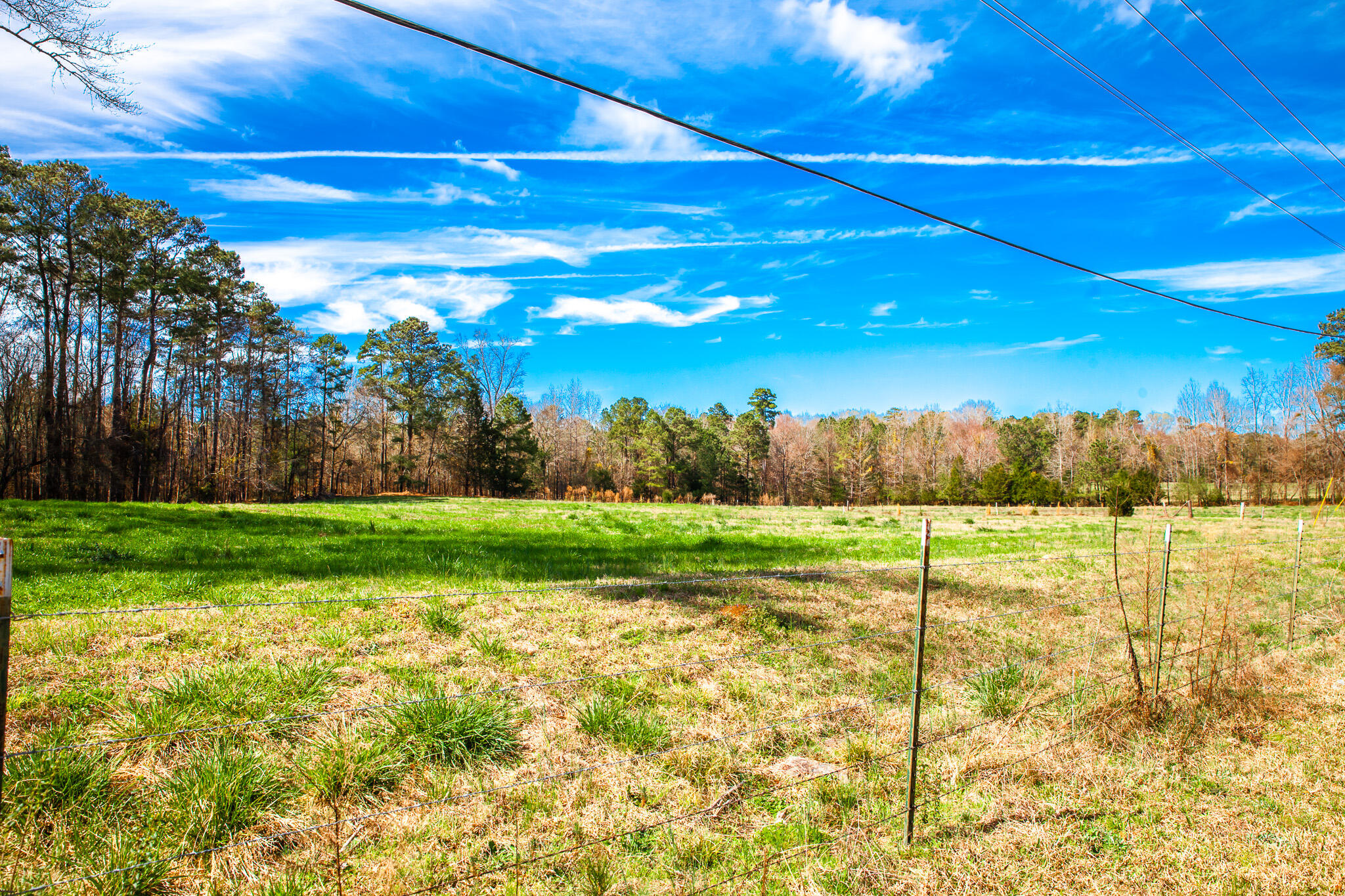 3500 5 Mistletoe Road Property Photo 5