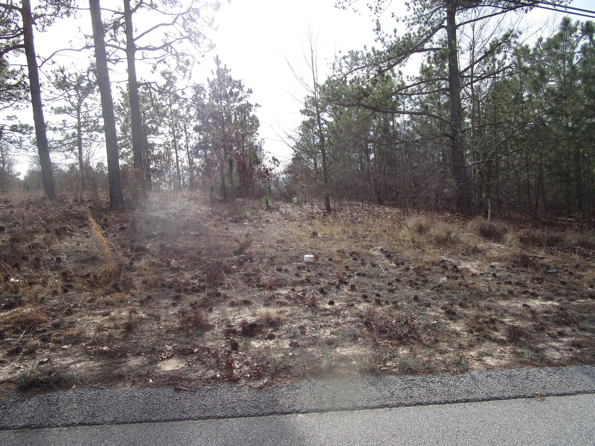 3024 Thornhill Drive