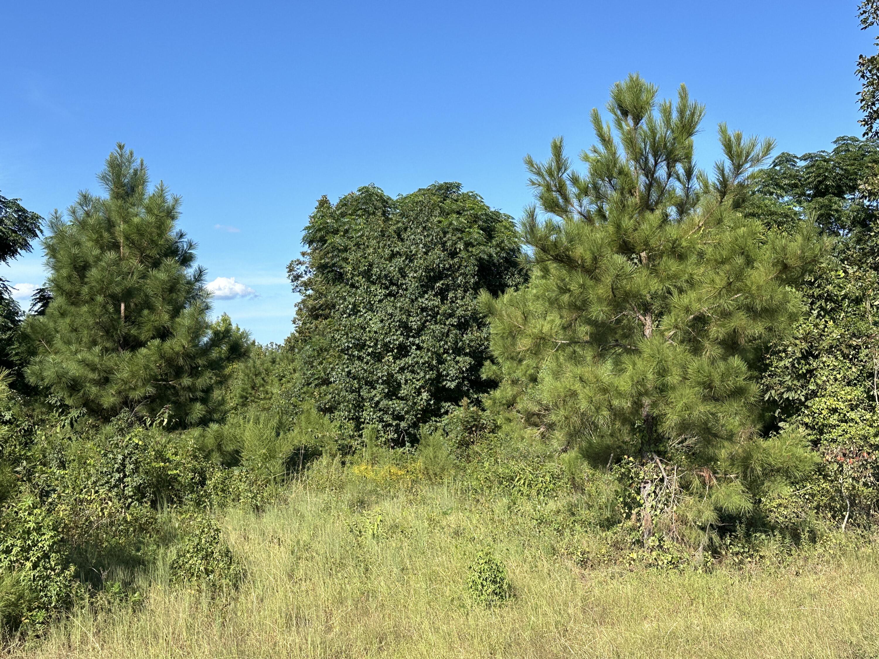 0 Netherland Drive Property Photo 3