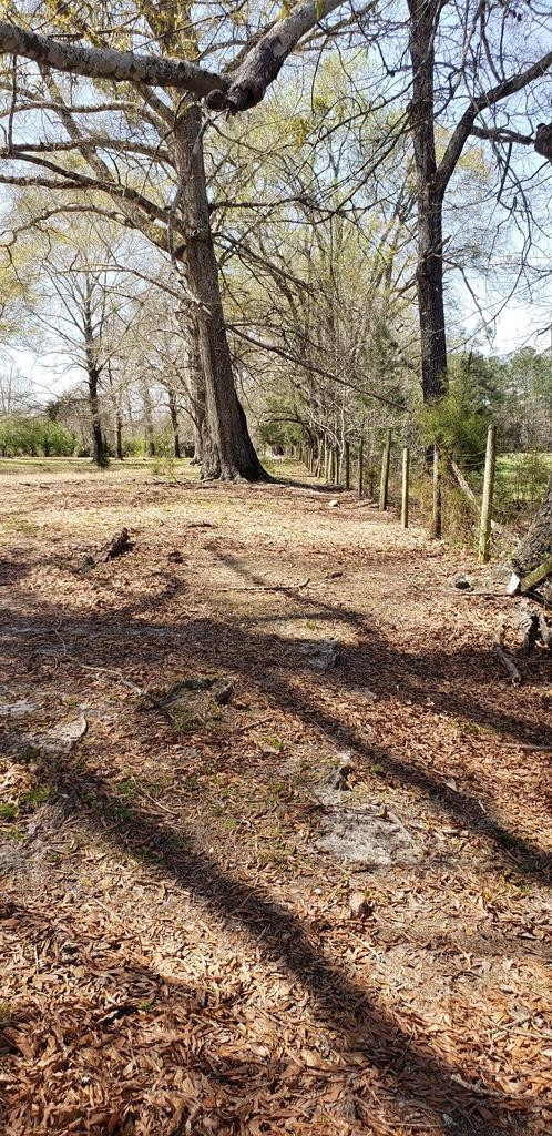 716 Augusta Road Property Photo 19