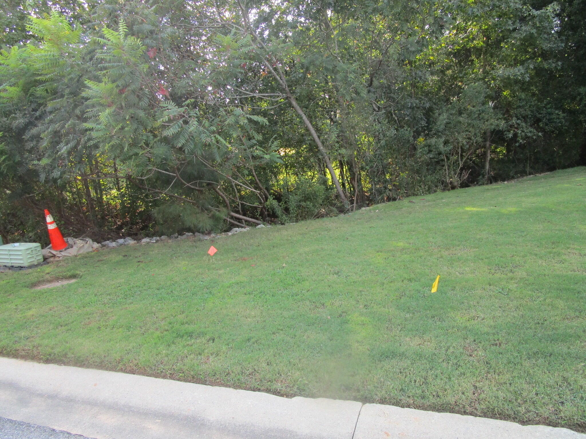 509 Walton Way Property Photo 1