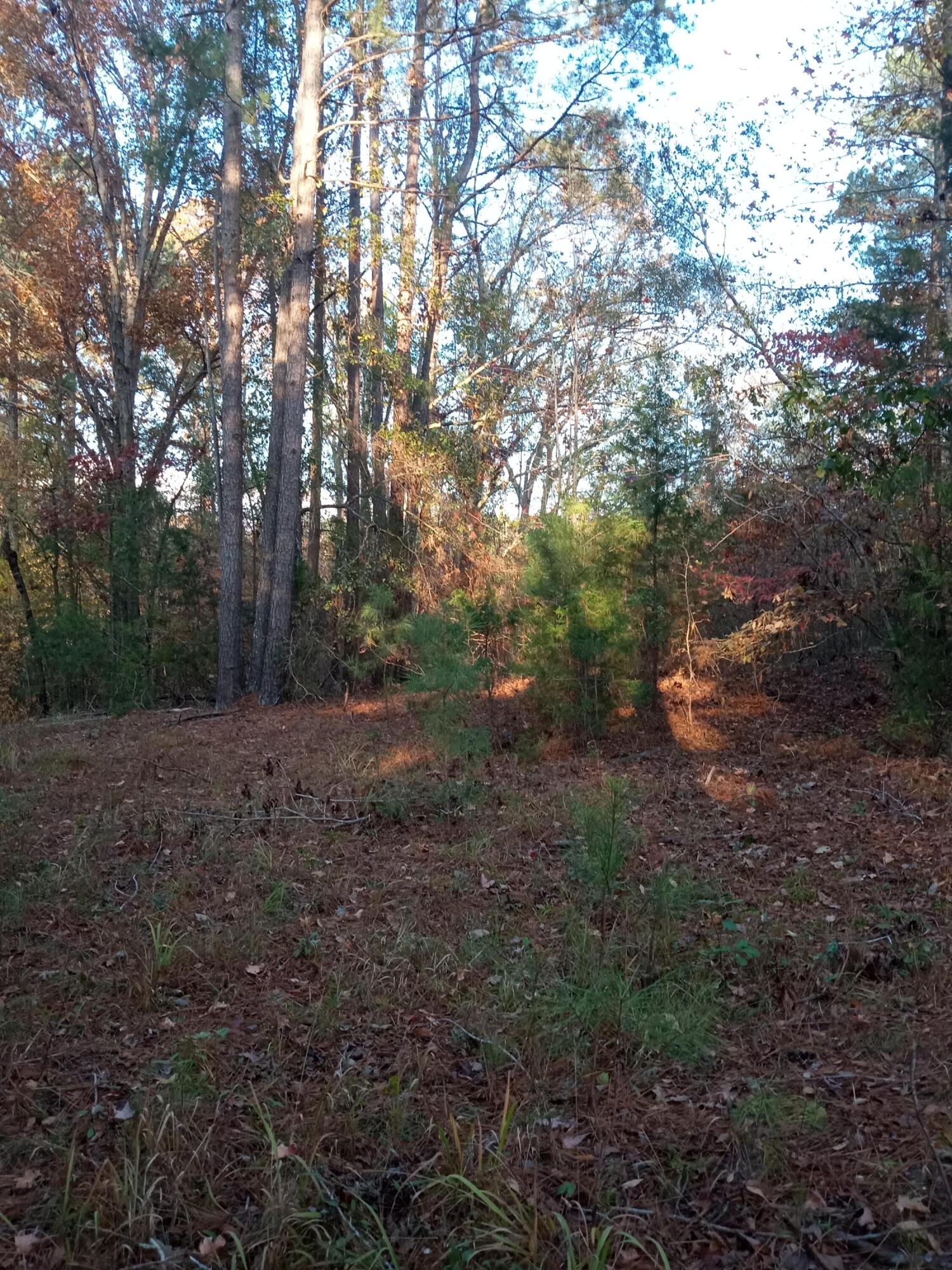2722 Sc-23 Property Photo 47