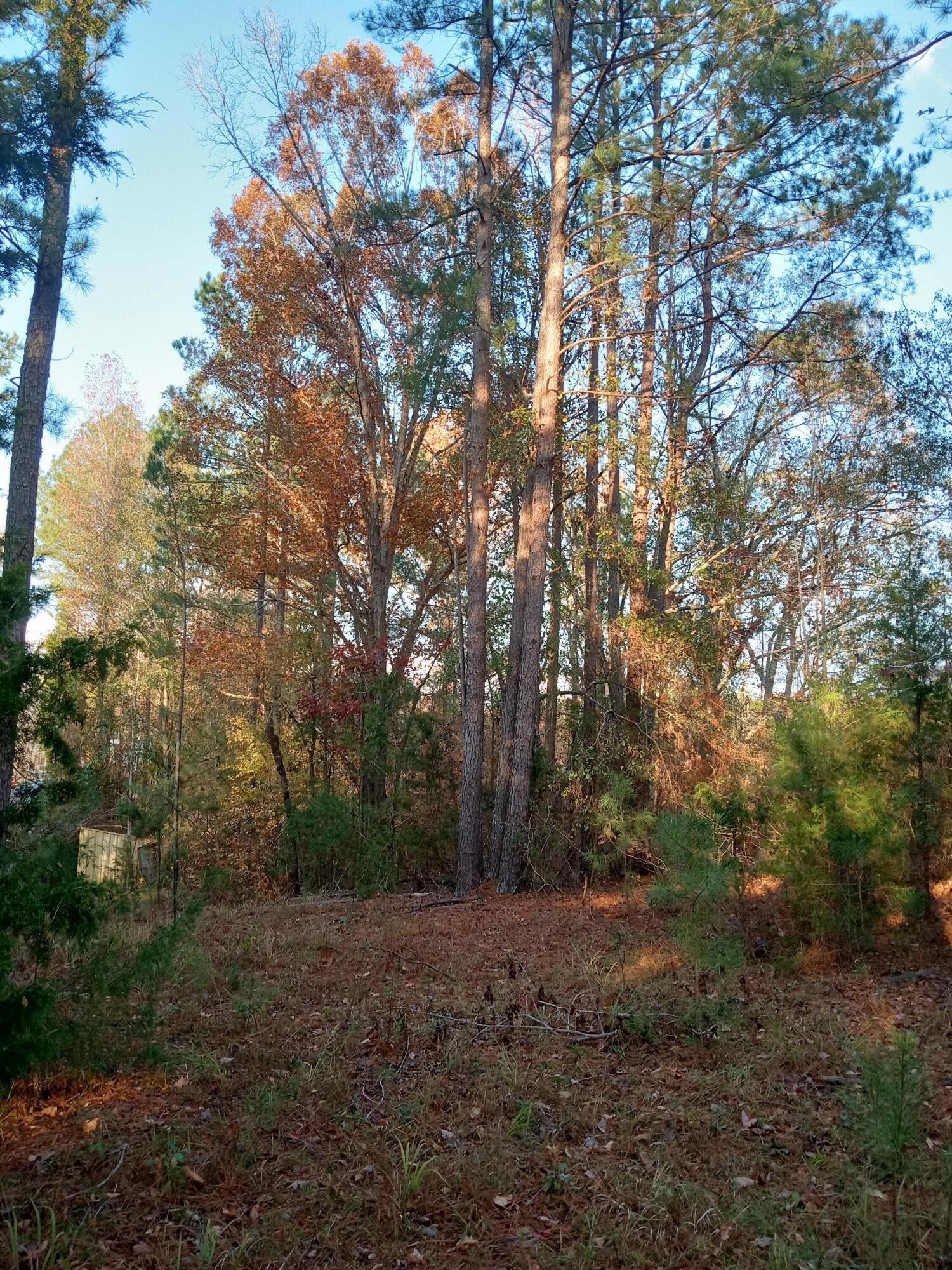 2722 Sc-23 Property Photo 48