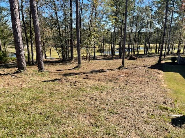 Lot M-46 Mary Johnson's Court Property Photo 1