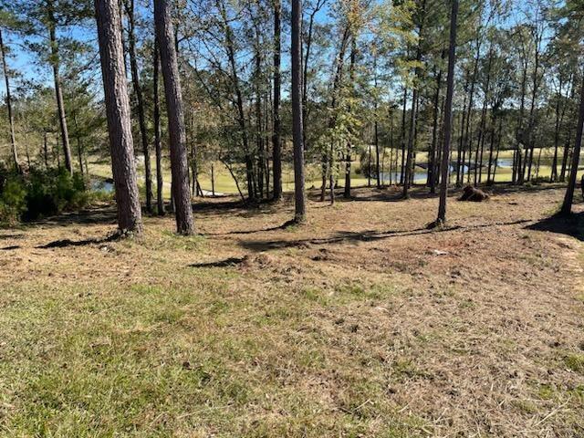 Lot M-46 Mary Johnson's Court Property Photo 2