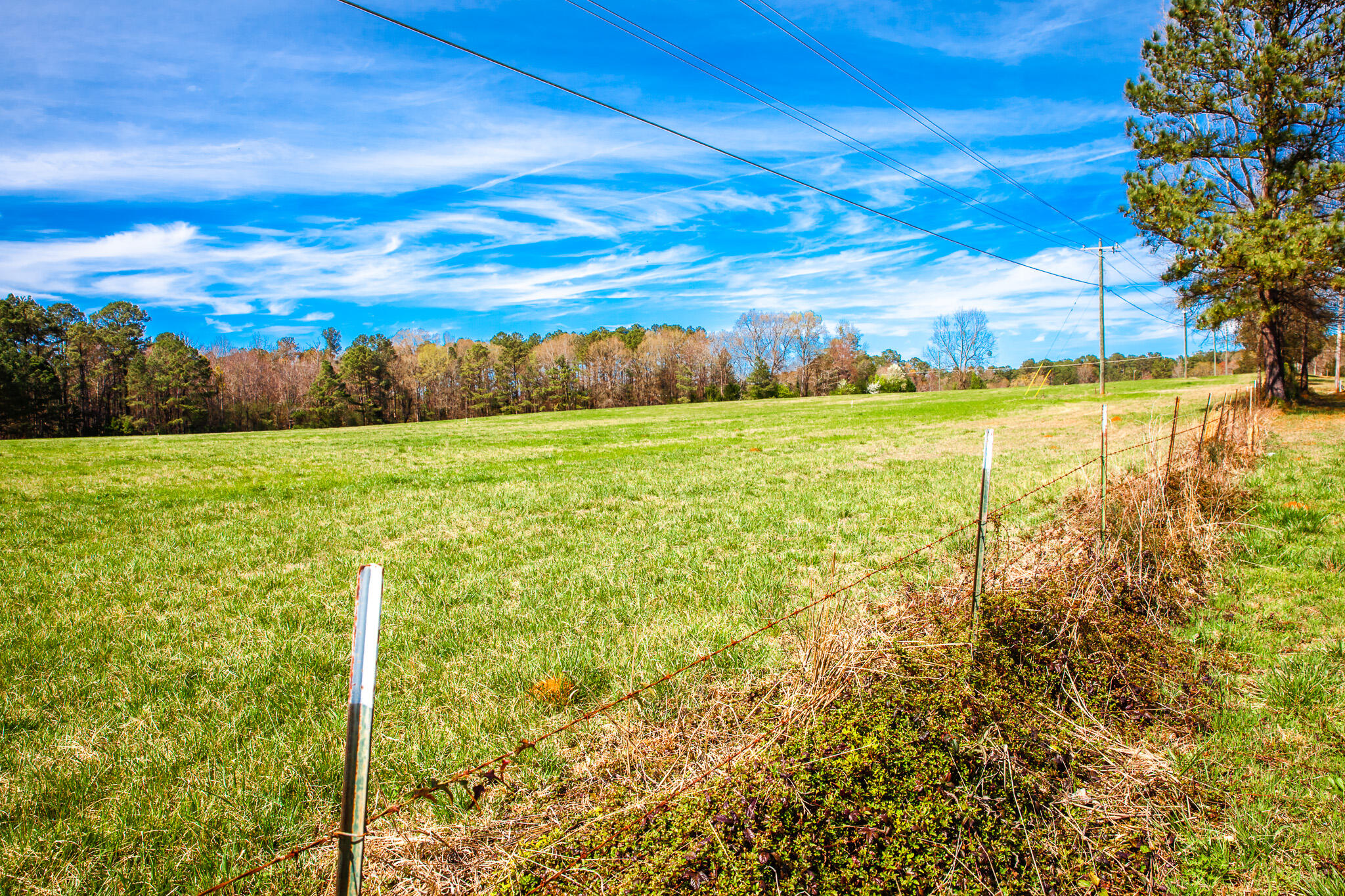3530 2 Mistletoe Road Property Photo 2