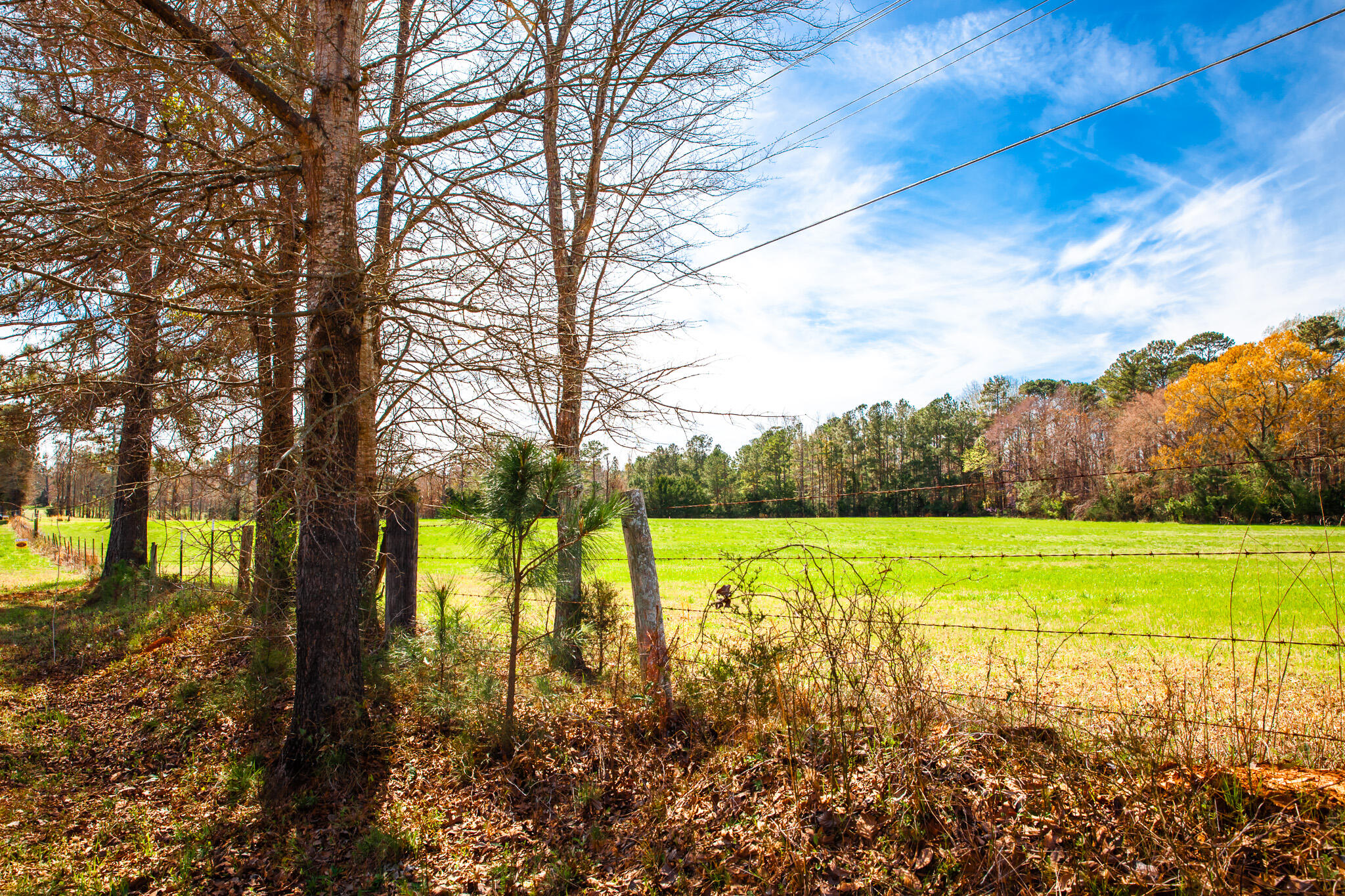 3530 2 Mistletoe Road Property Photo 3