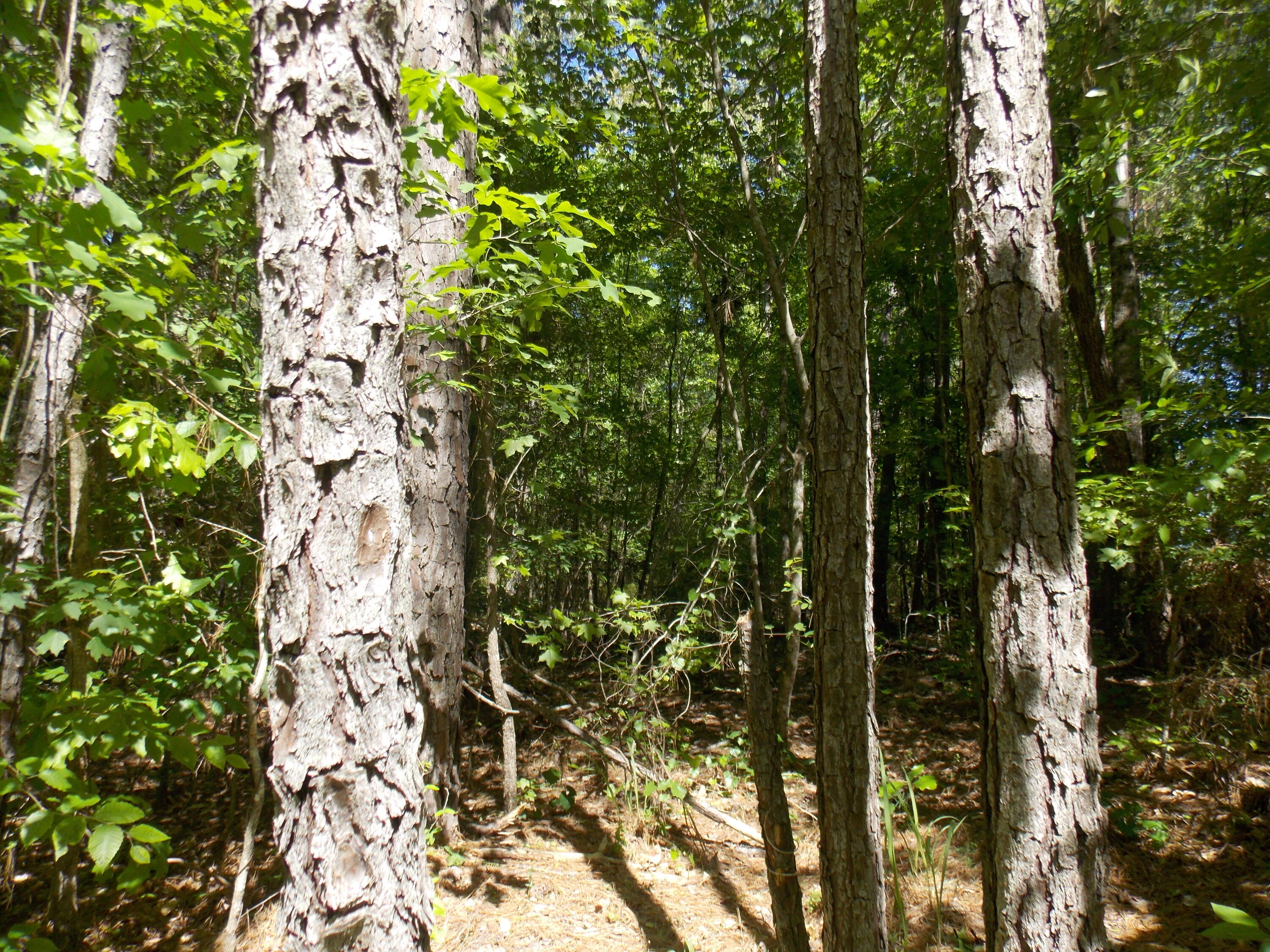 12 12 Doe Run Property Photo 1