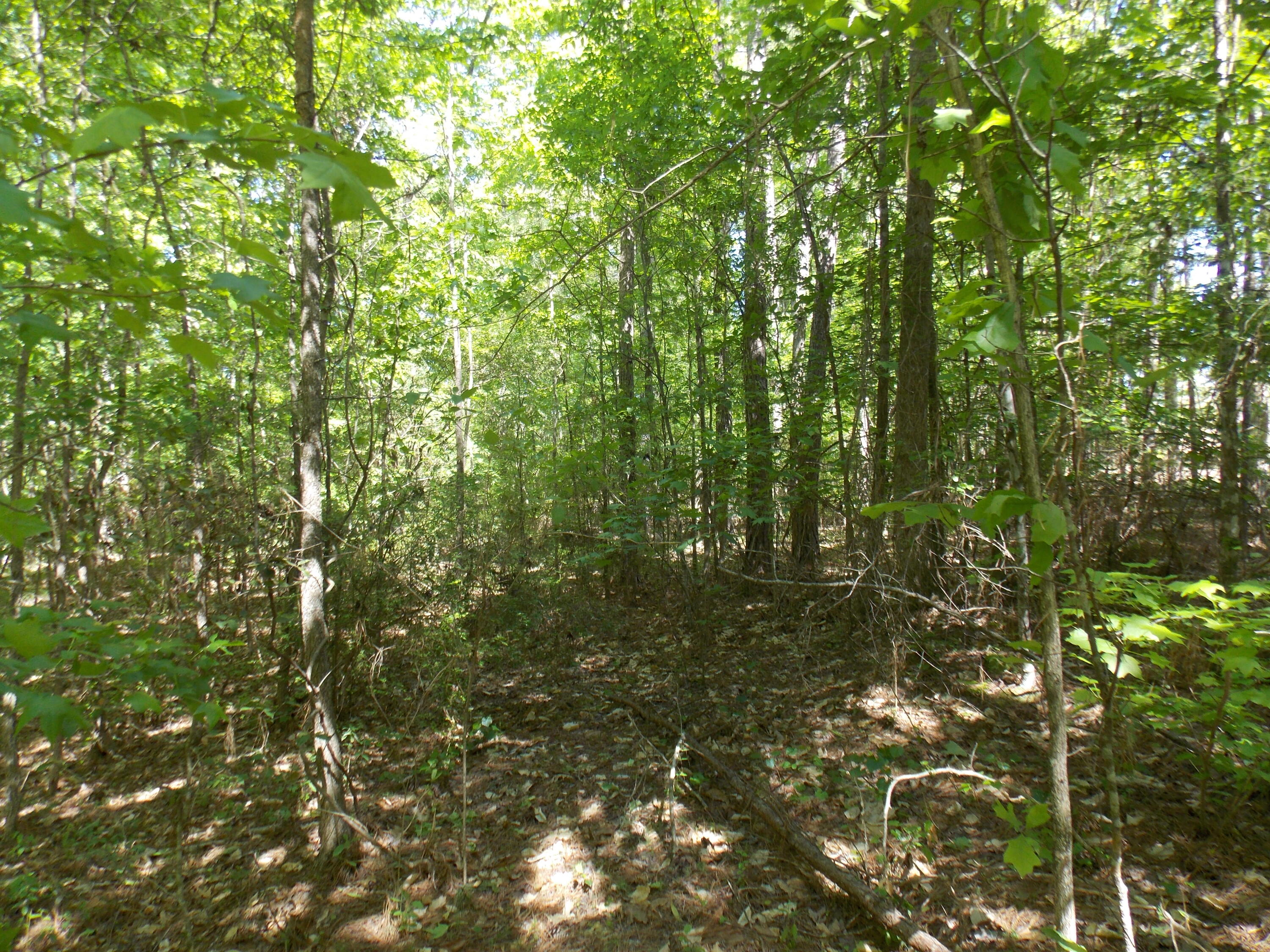 12 12 Doe Run Property Photo 2