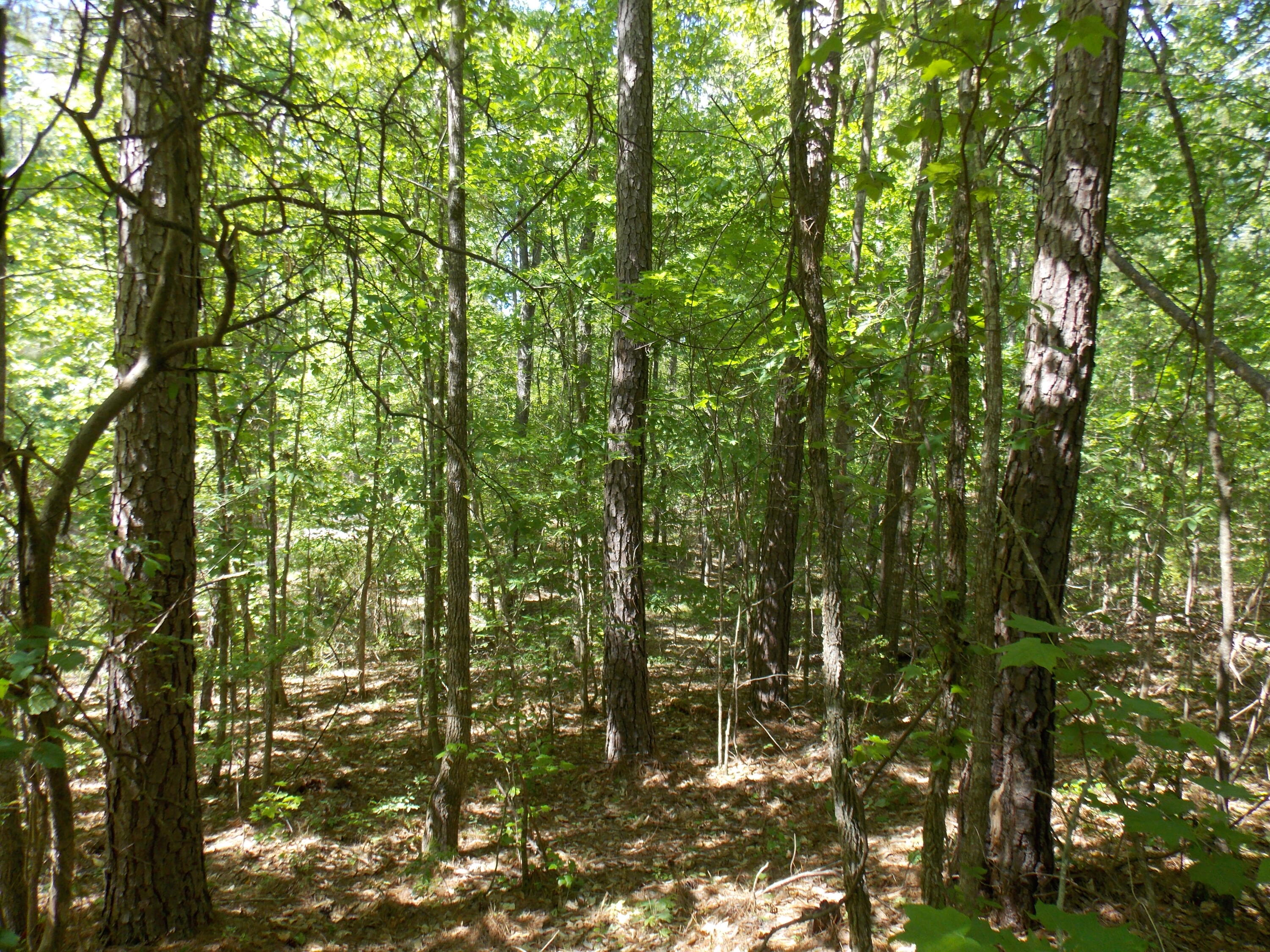 12 12 Doe Run Property Photo 3
