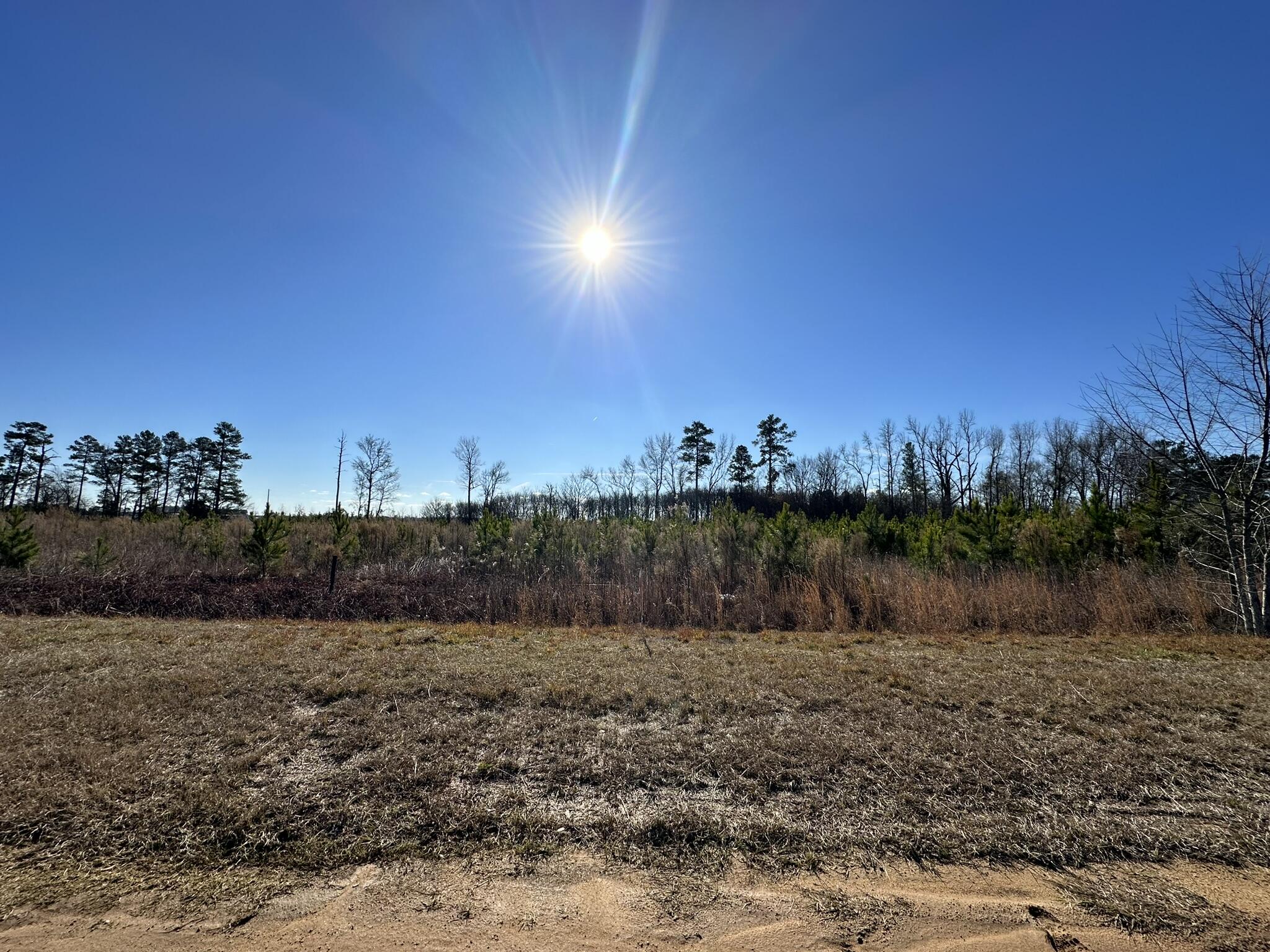 Lot 6 6 Triangle Road Property Photo 1