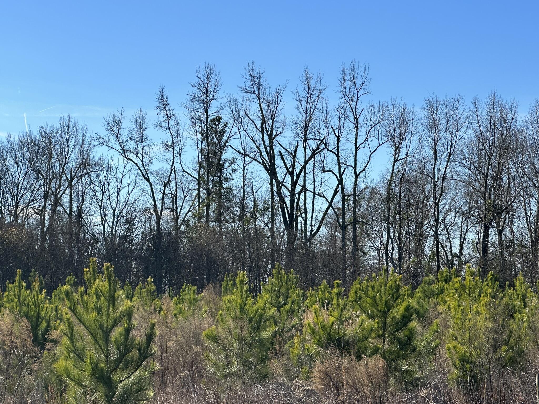Lot 6 6 Triangle Road Property Photo 3