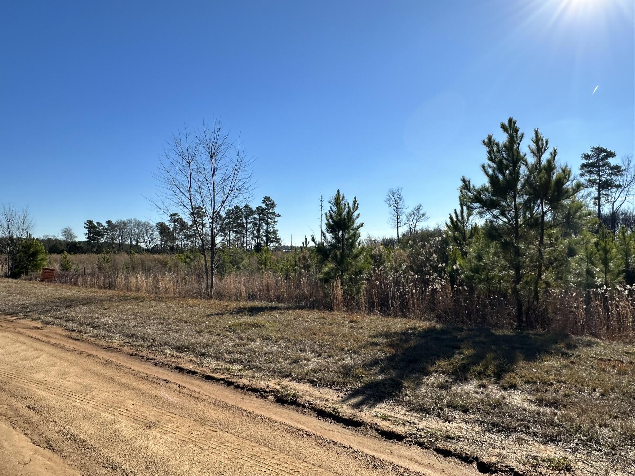 Lot 6 6 Triangle Road Property Photo 5