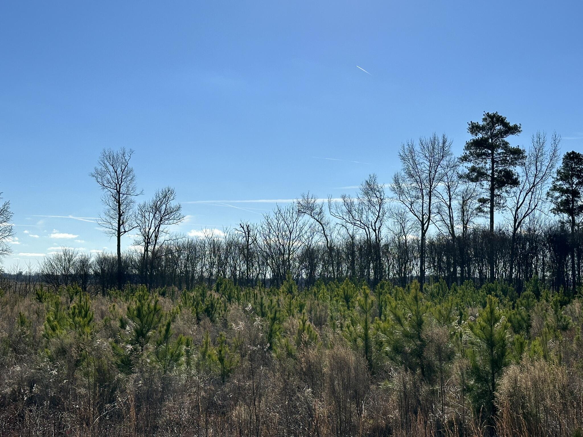 Lot 6 6 Triangle Road Property Photo 7