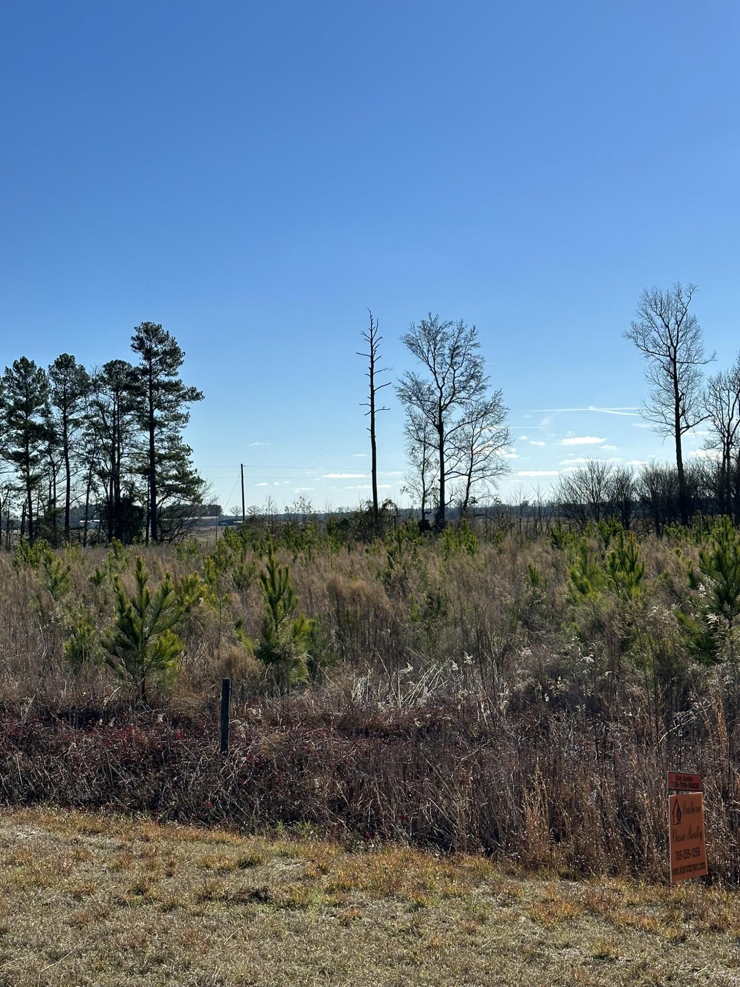 Lot 6 6 Triangle Road Property Photo 8