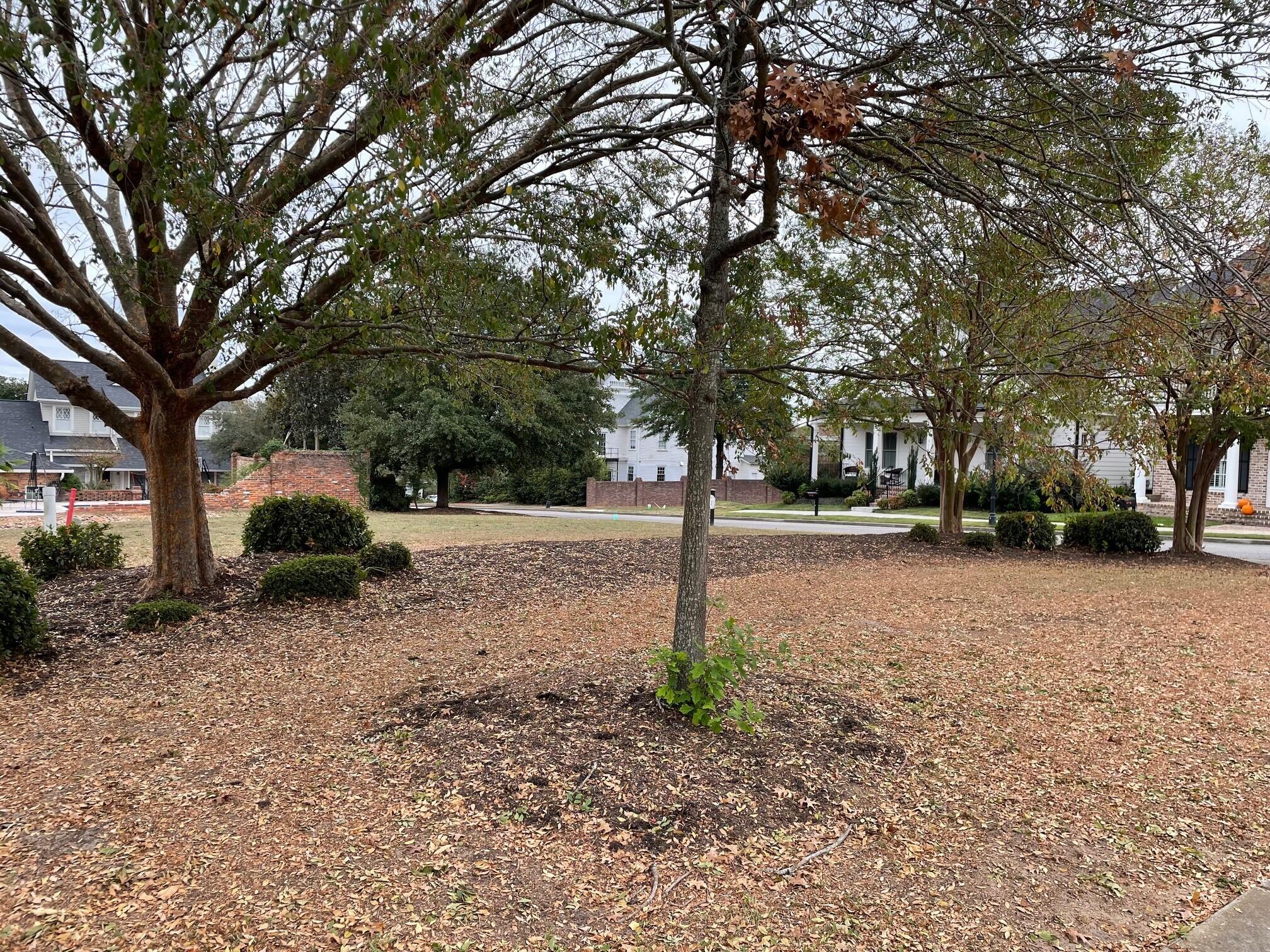 2111 Carnes Place Property Photo 1