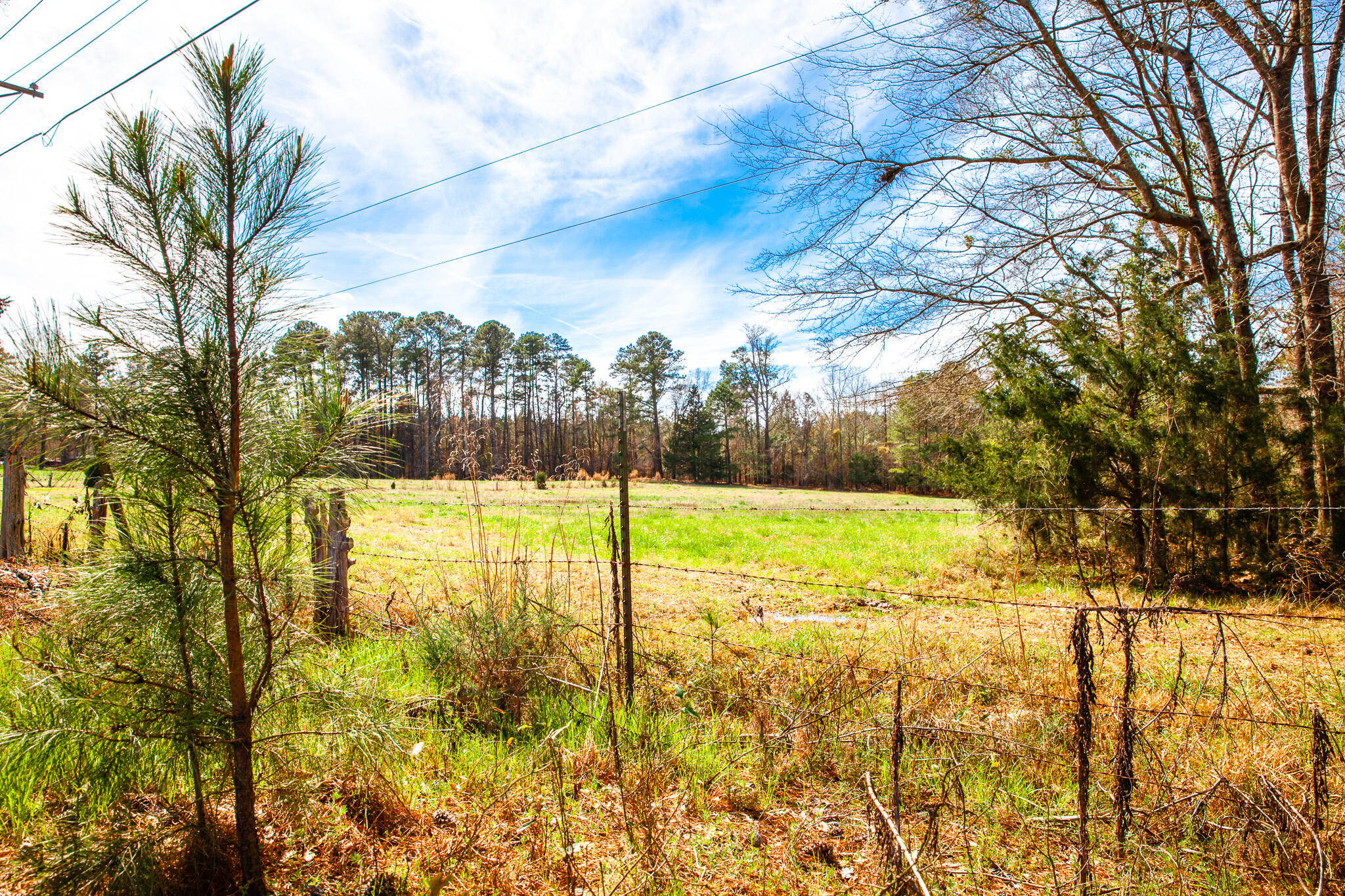 3510 4 Mistletoe Road Property Photo 4