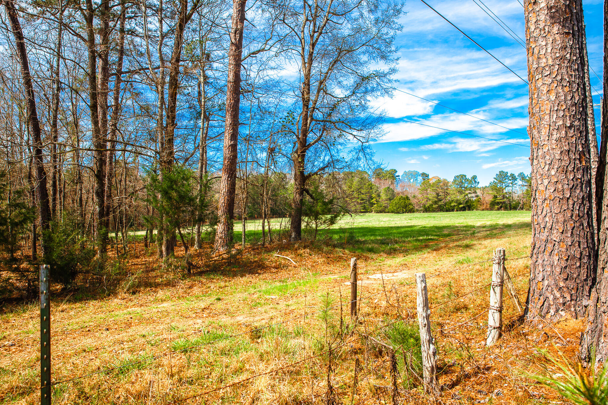 3510 4 Mistletoe Road Property Photo 5