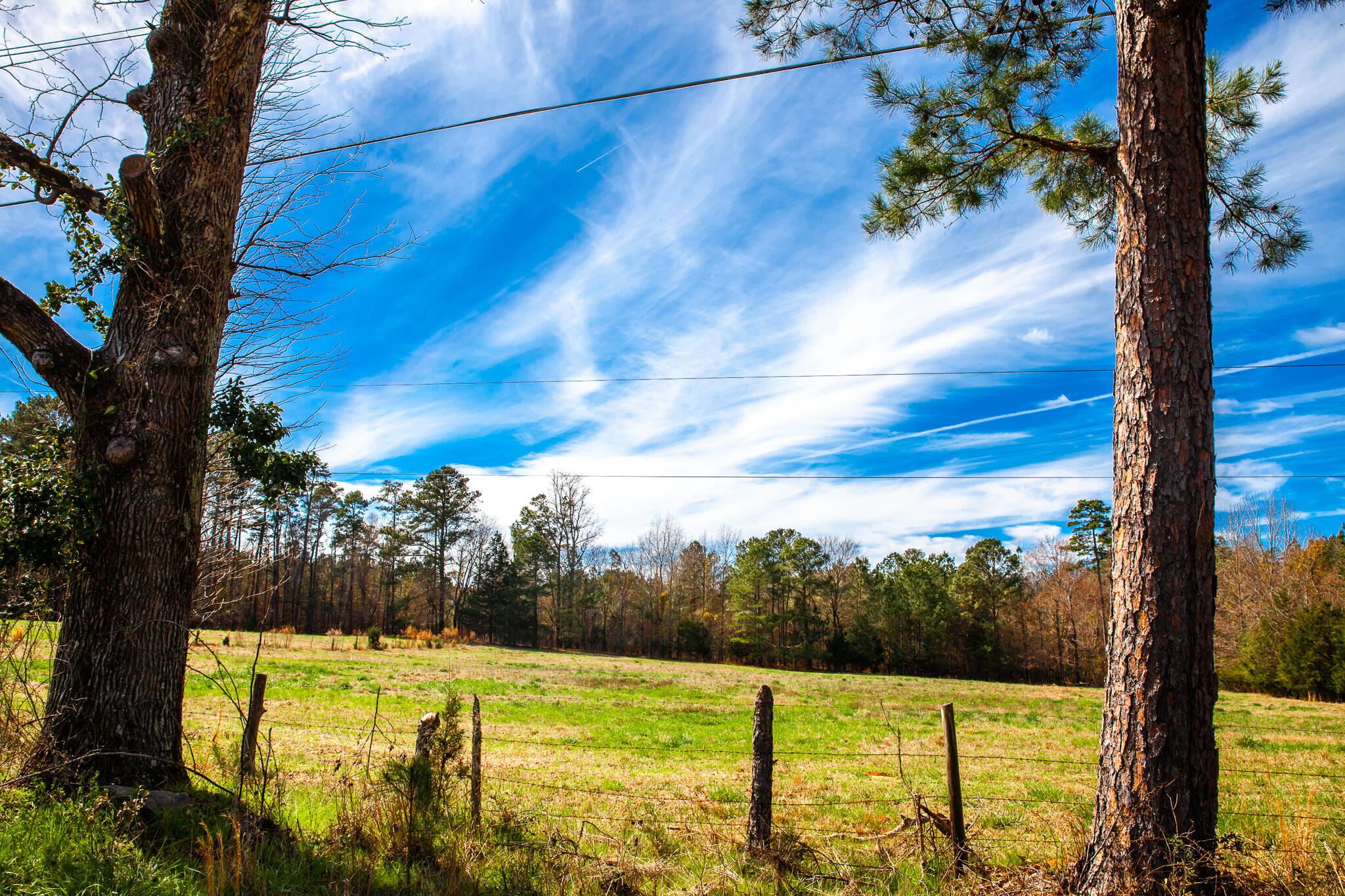 3510 4 Mistletoe Road Property Photo 7