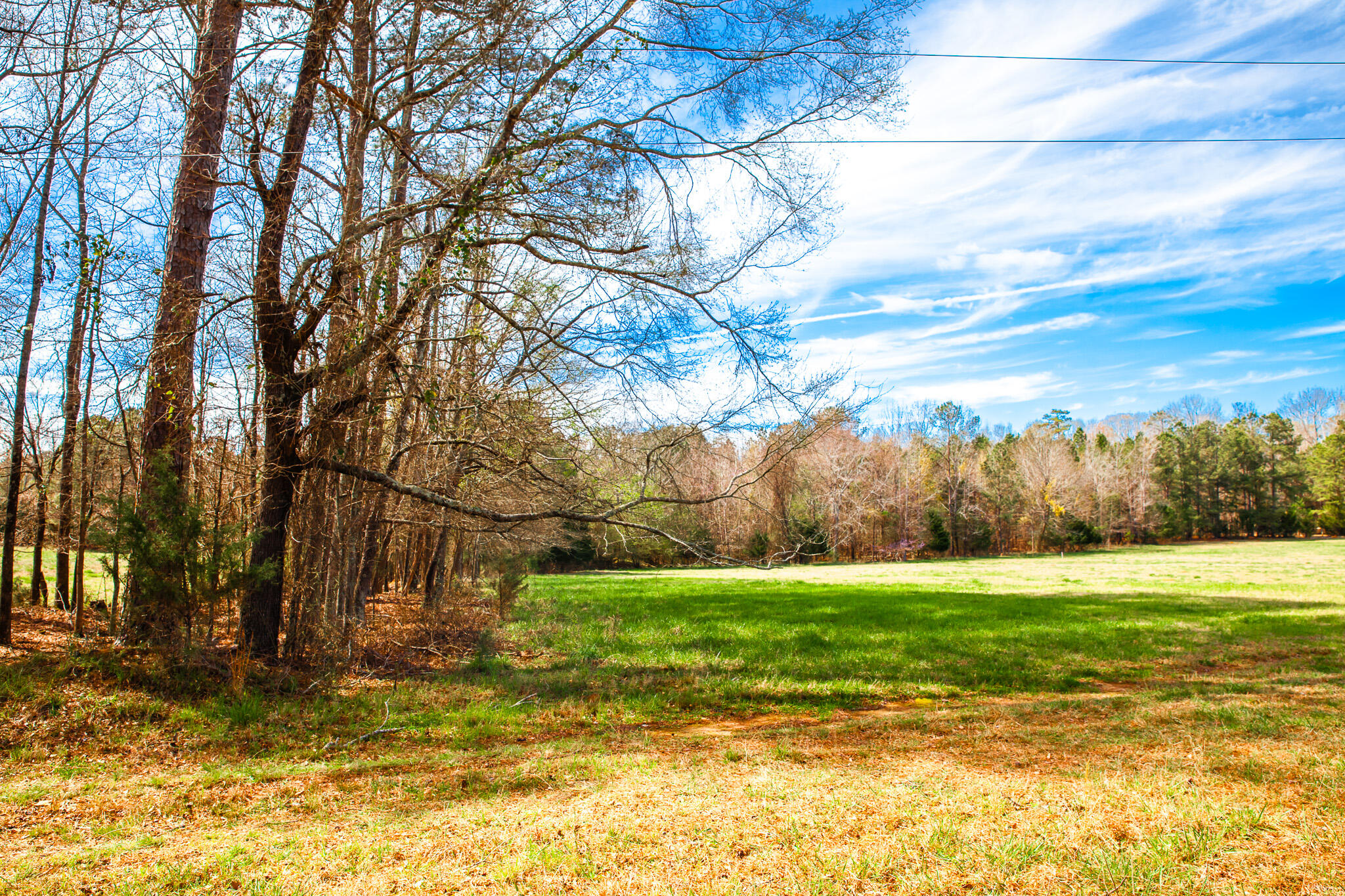 3510 4 Mistletoe Rd Property Photo 2