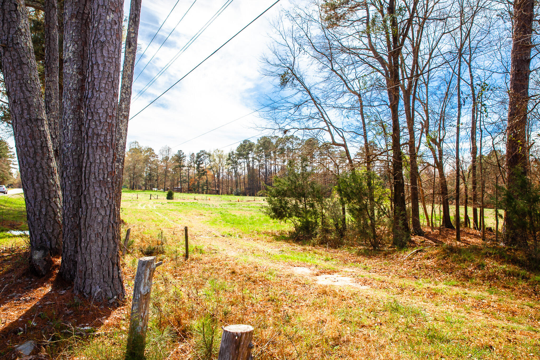3510 4 Mistletoe Rd Property Photo 3