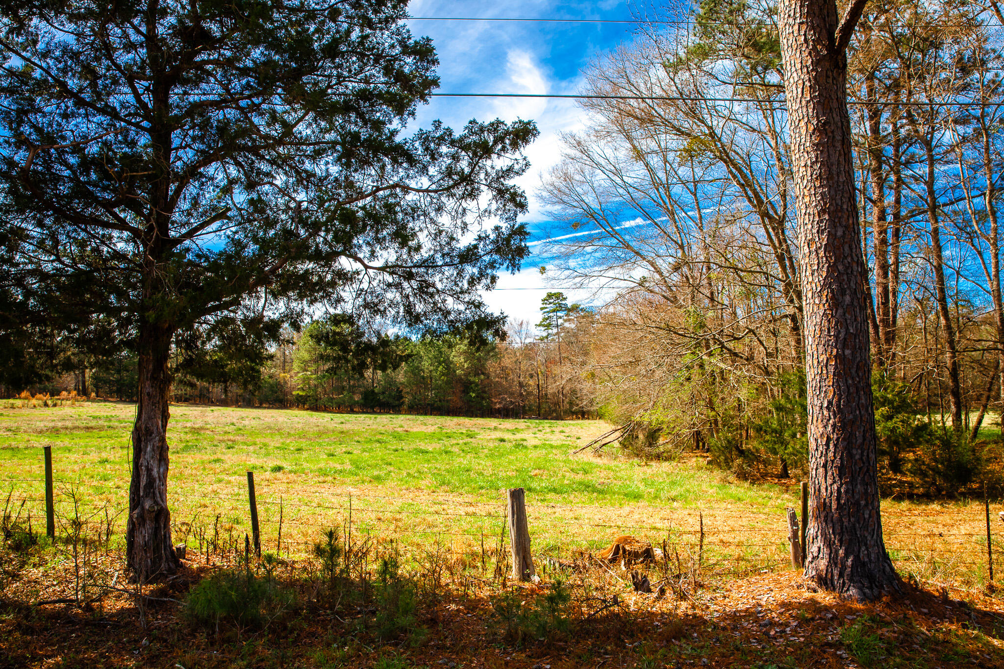 3510 4 Mistletoe Rd Property Photo 6