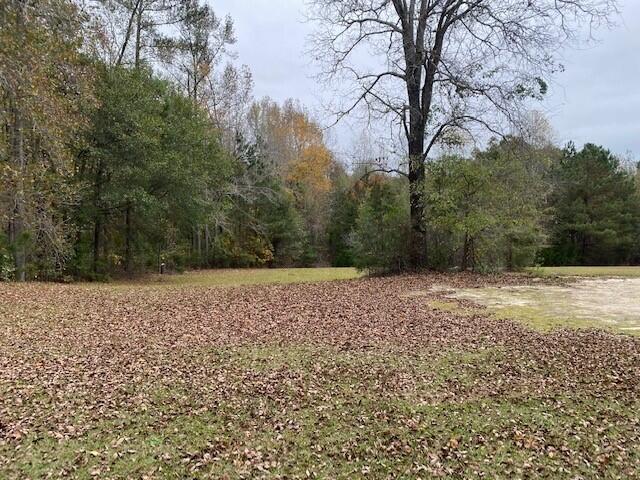 6384 Cobbham Road Property Photo 1
