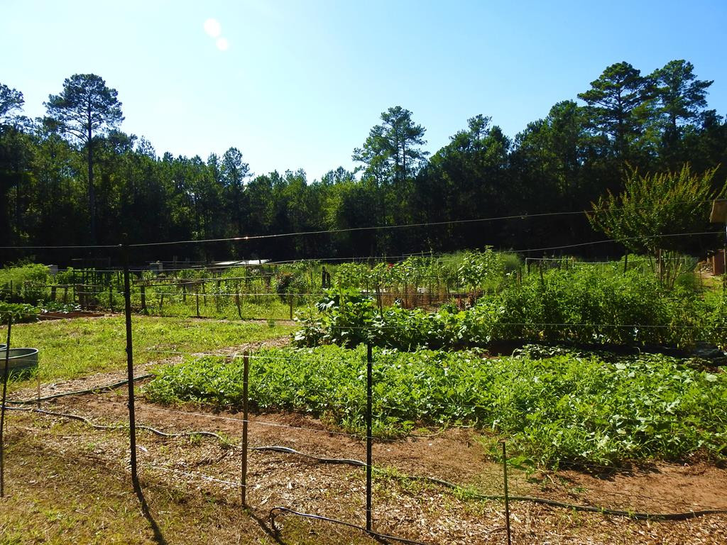 L13 B28 13 Monroe Lane Property Photo 21