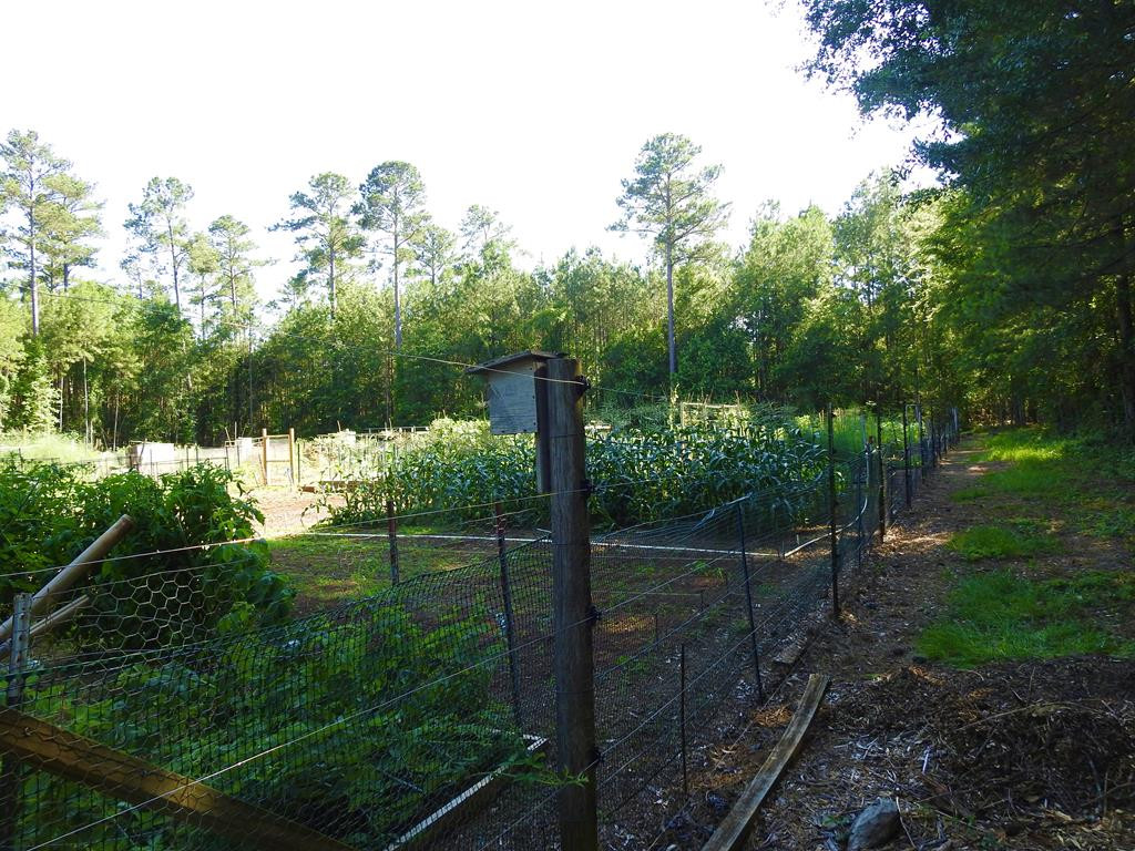 L13 B28 13 Monroe Lane Property Photo 22
