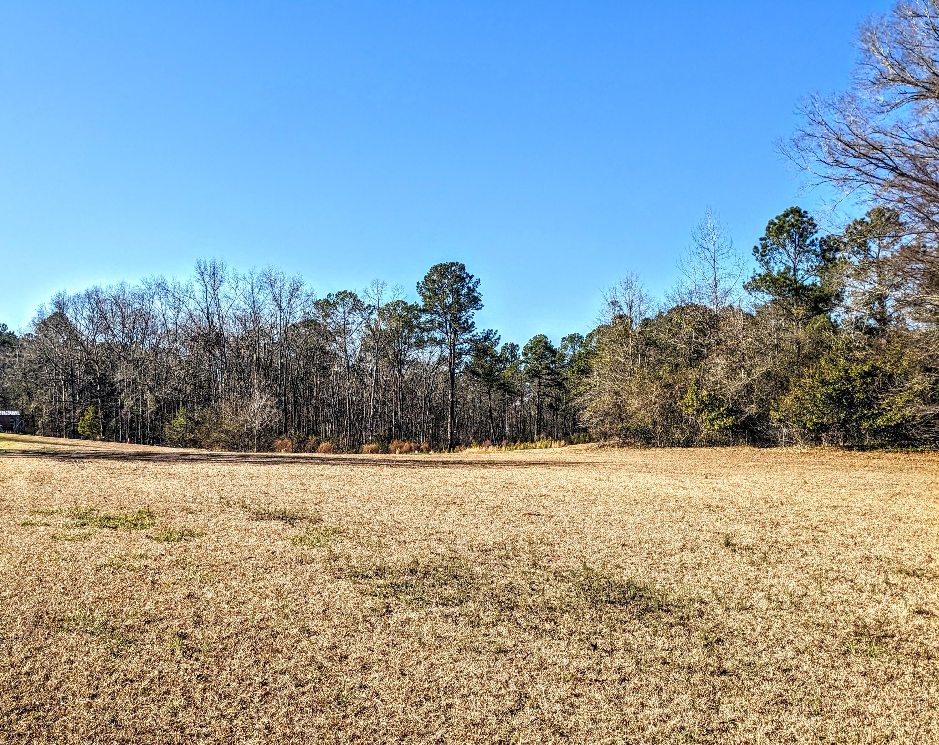 484 Dickson Drive Property Photo 2