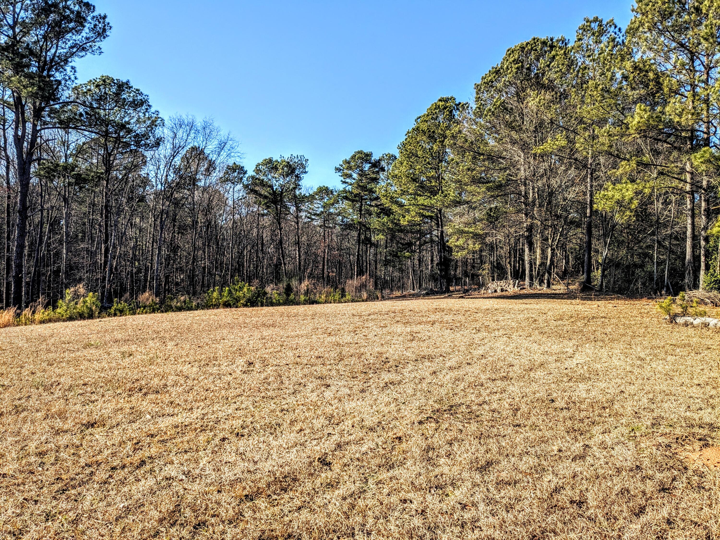 484 Dickson Drive Property Photo 3