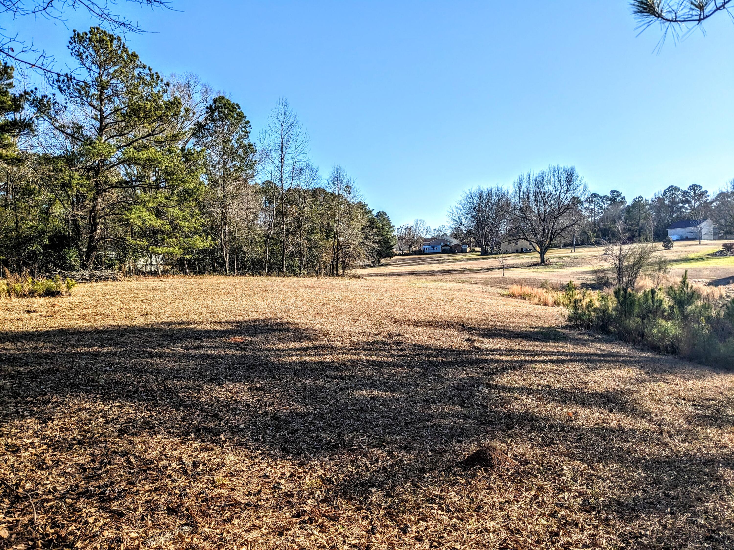 484 Dickson Drive Property Photo 4
