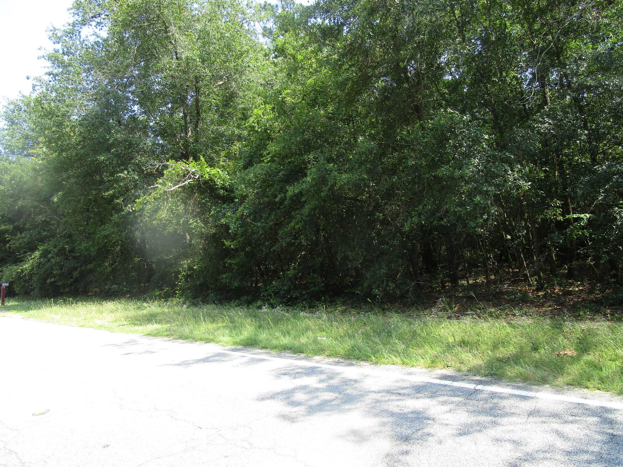 1436 Hephzibah Mcbean Road Property Photo 9
