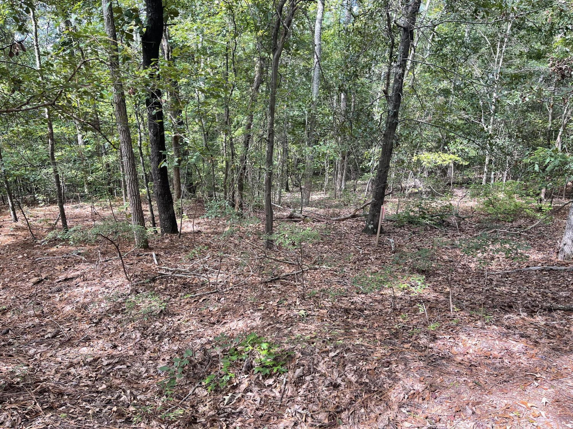 572 Parkside Drive Property Photo 8