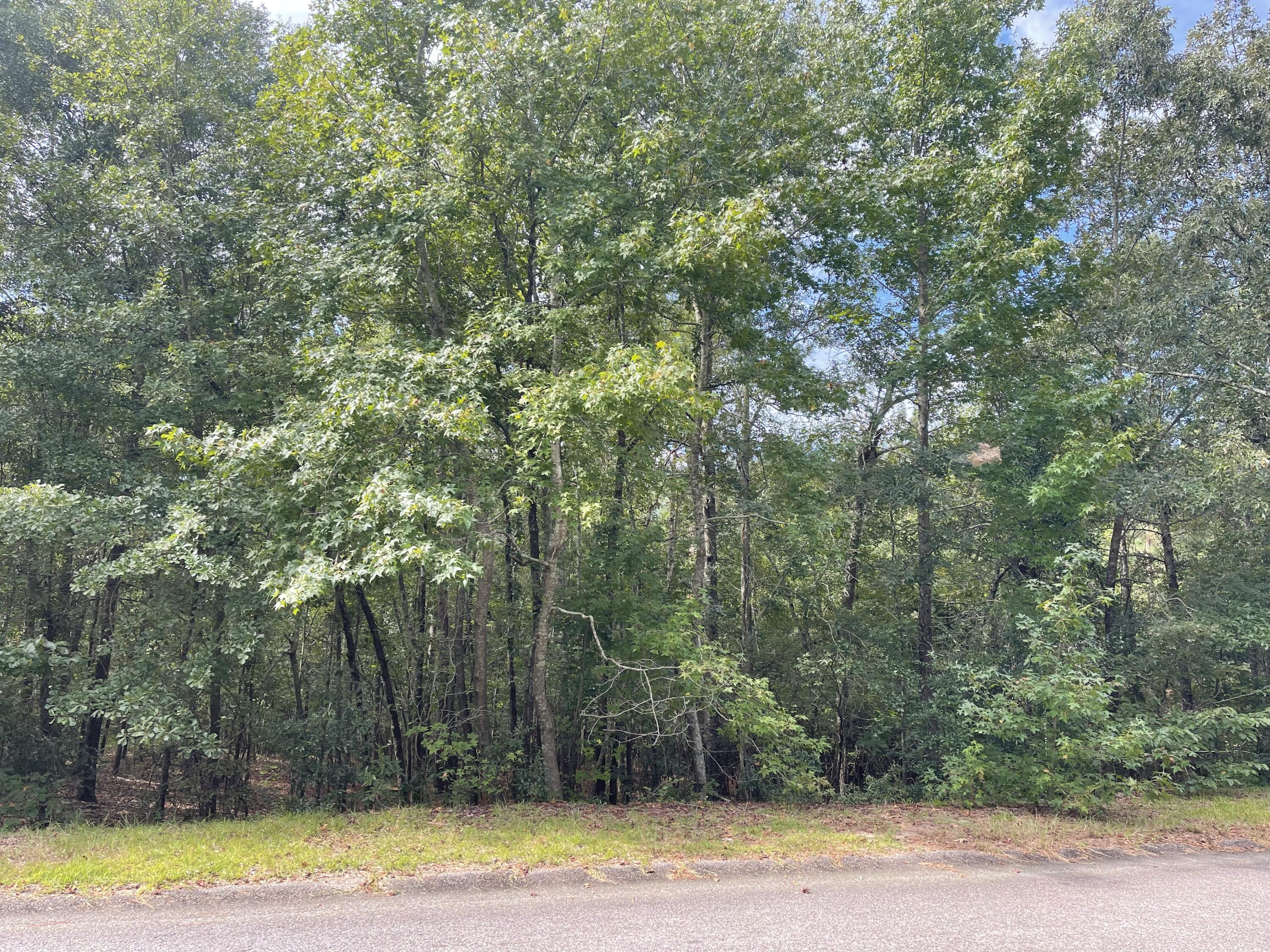 572 Parkside Drive Property Photo 12