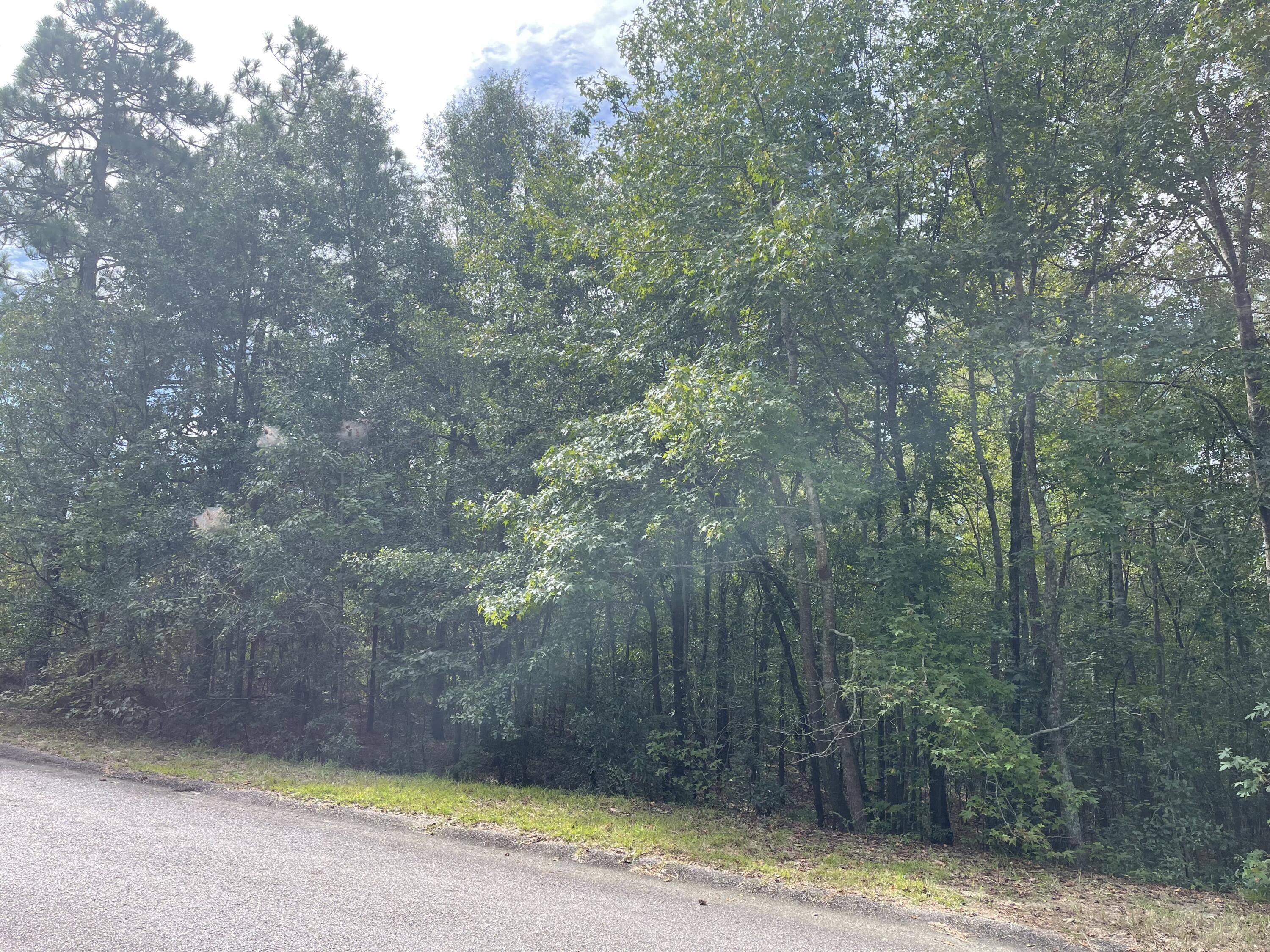 572 Parkside Drive Property Photo 13