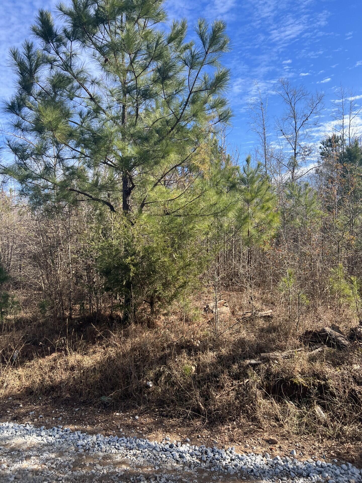 0 Clanton Road Property Photo 3