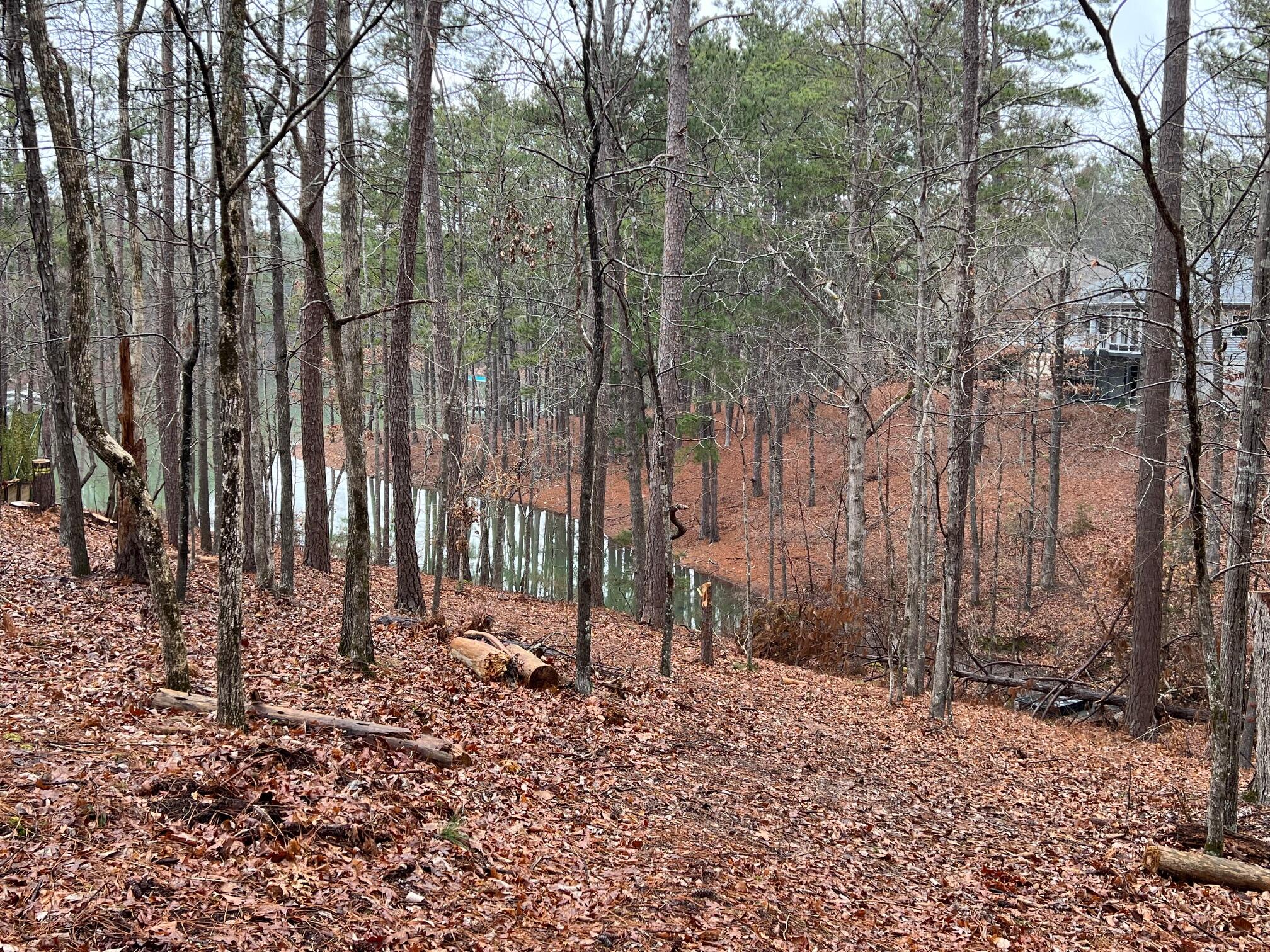 6-47 6 Superior Cove Property Photo 6