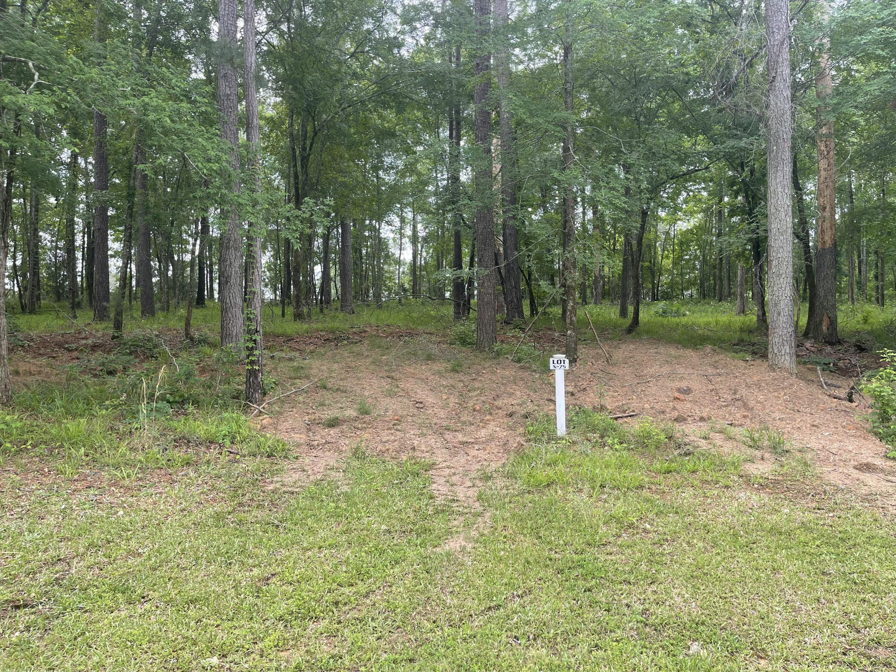 N-75 Eutaw Springs Trail Property Photo 1