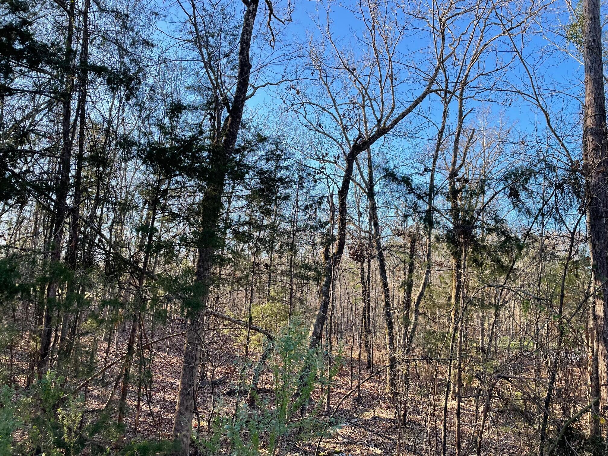 Lot 22 Plantation Point Property Photo 4