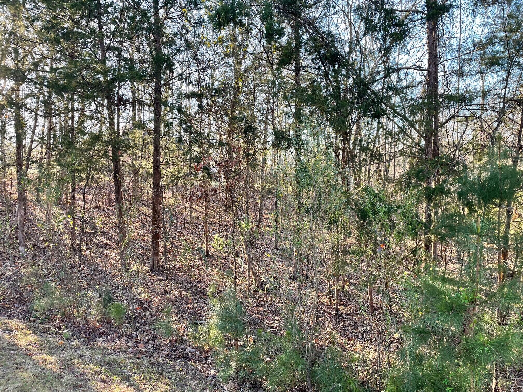 Lot 22 Plantation Point Property Photo 5
