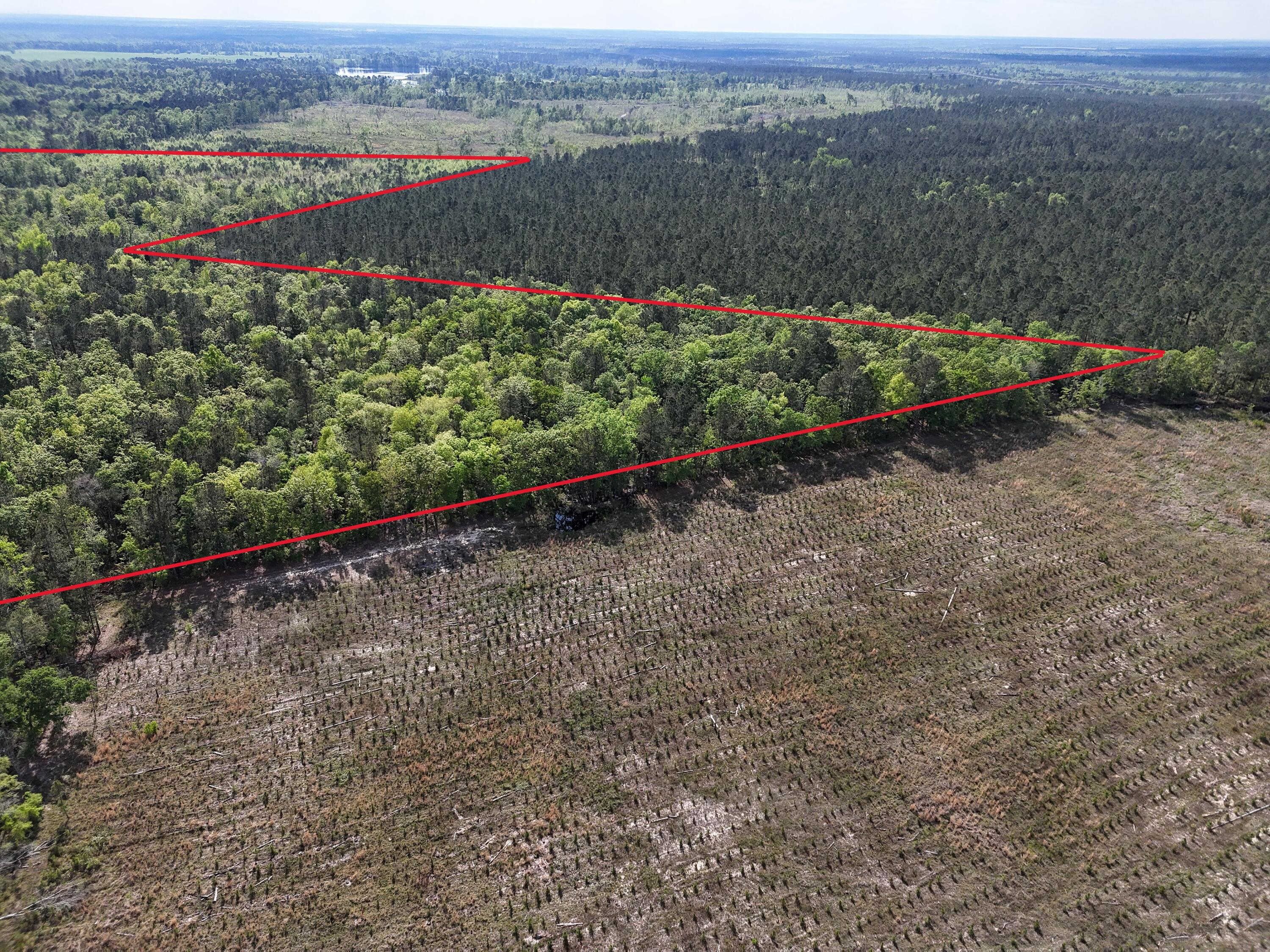 0 305 Highway Property Photo 3