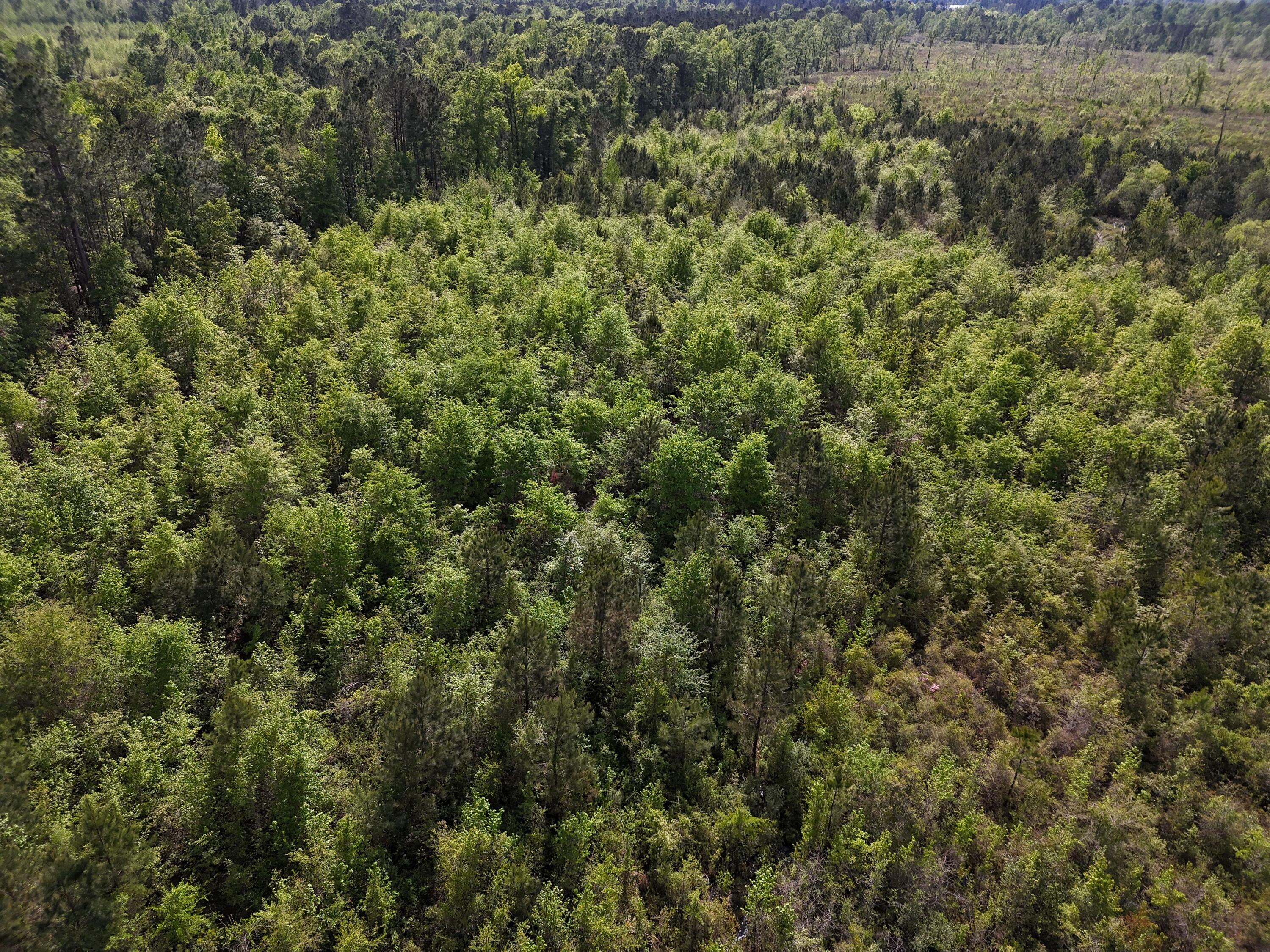0 305 Highway Property Photo 6