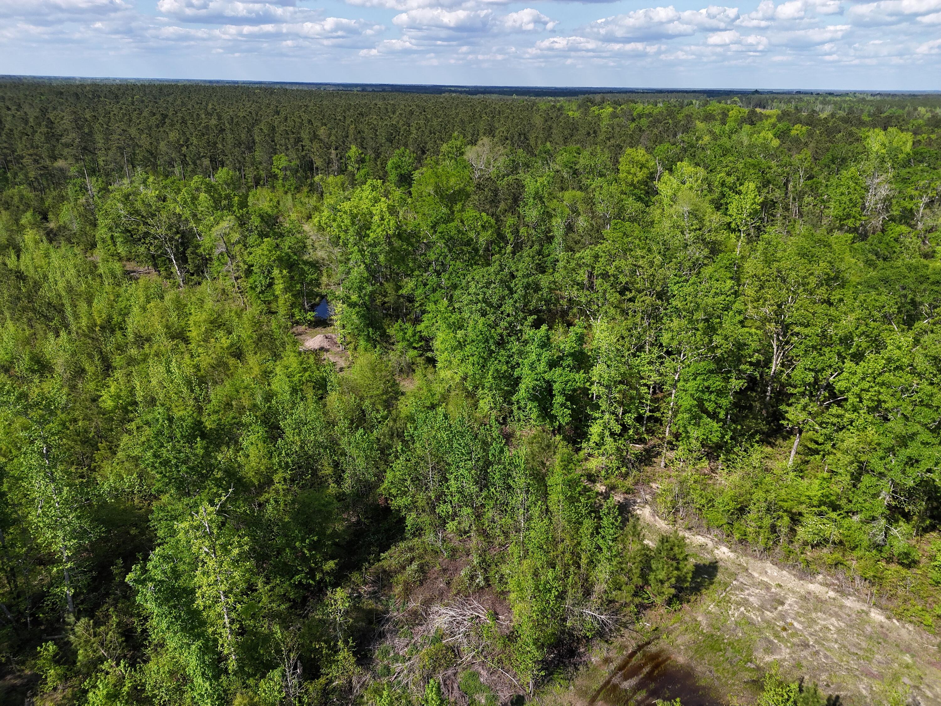 0 305 Highway Property Photo 8