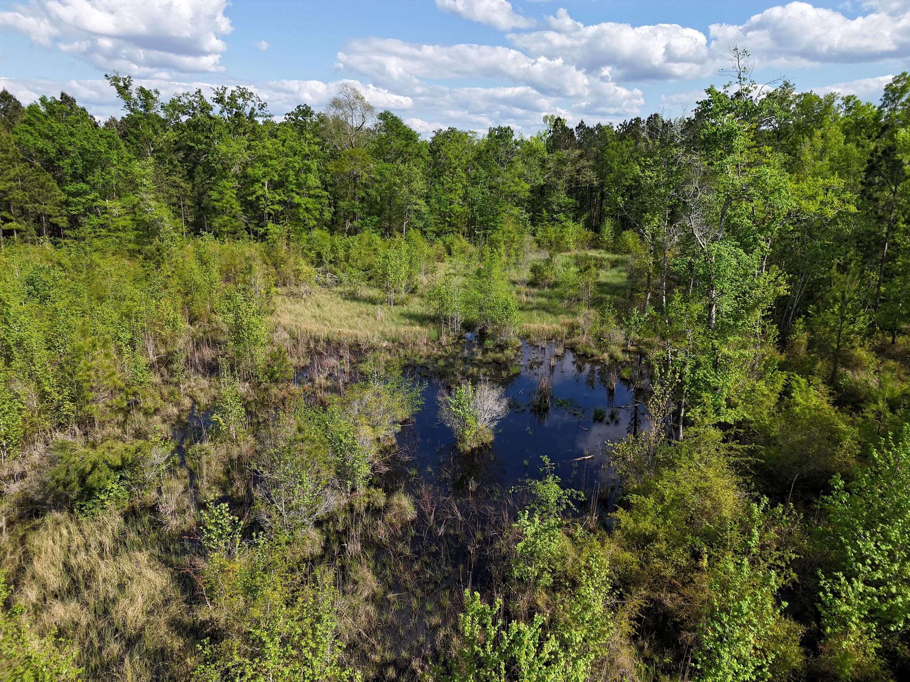 0 305 Highway Property Photo 9