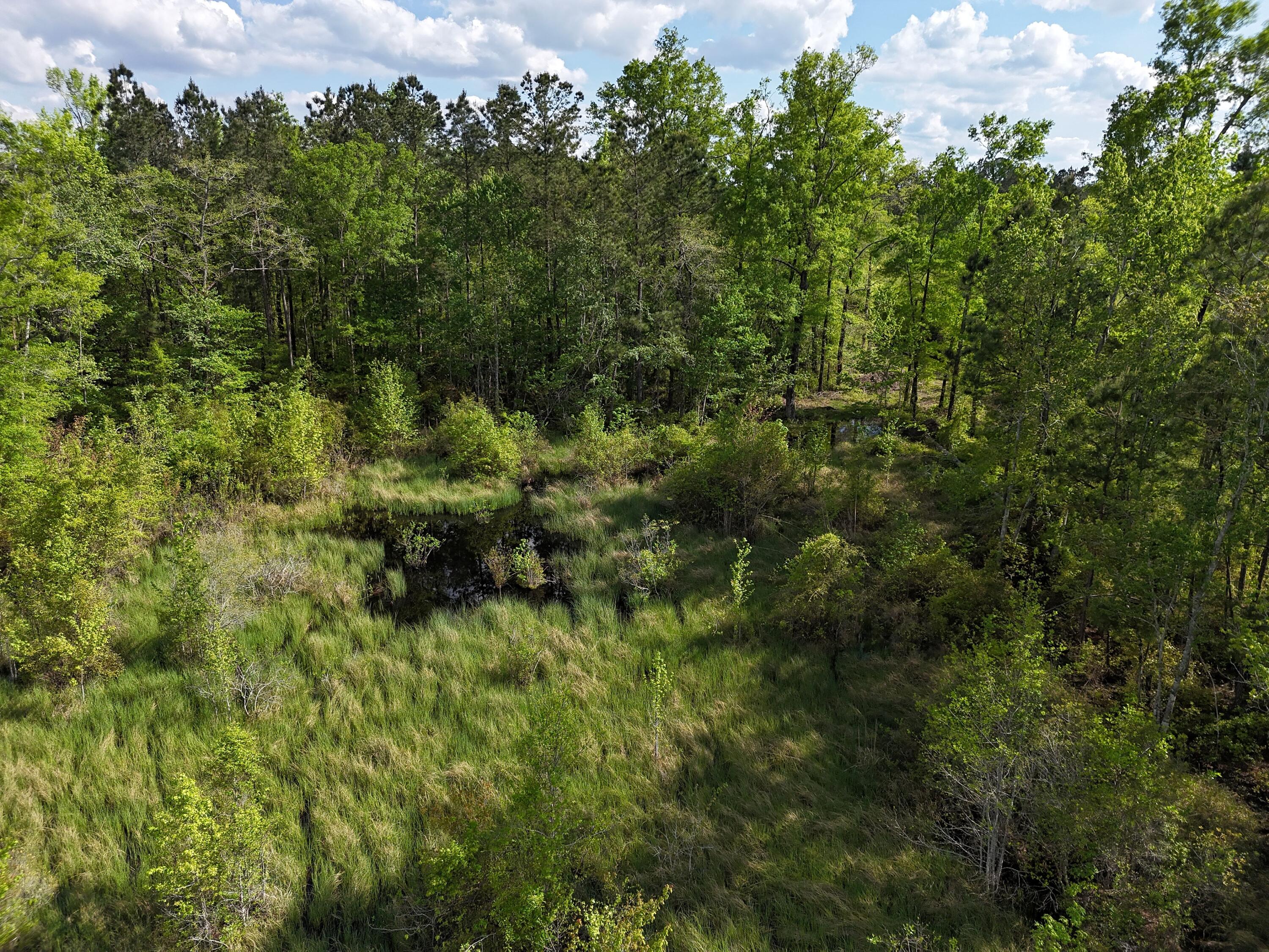 0 305 Highway Property Photo 10