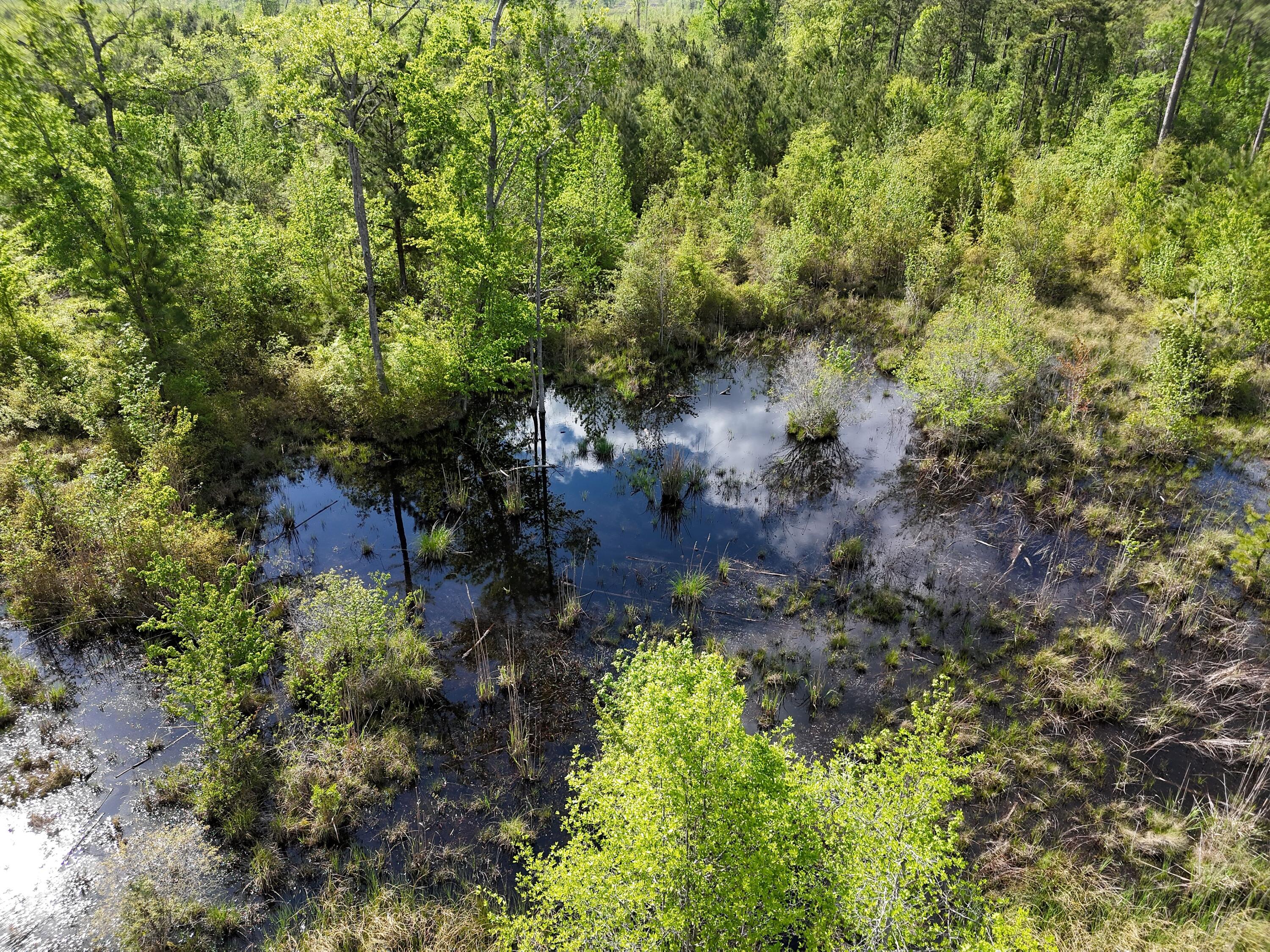 0 305 Highway Property Photo 11