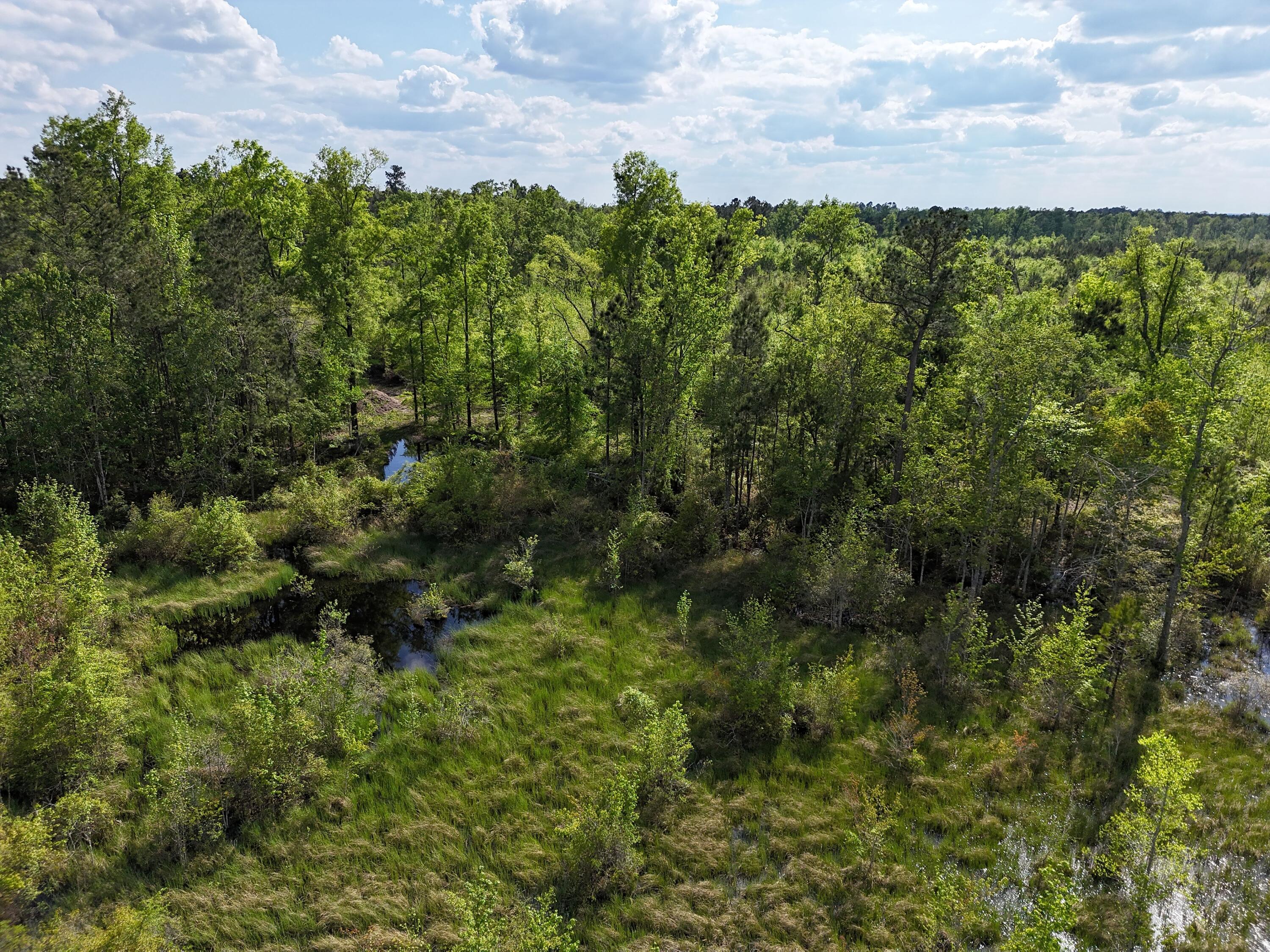 0 305 Highway Property Photo 14